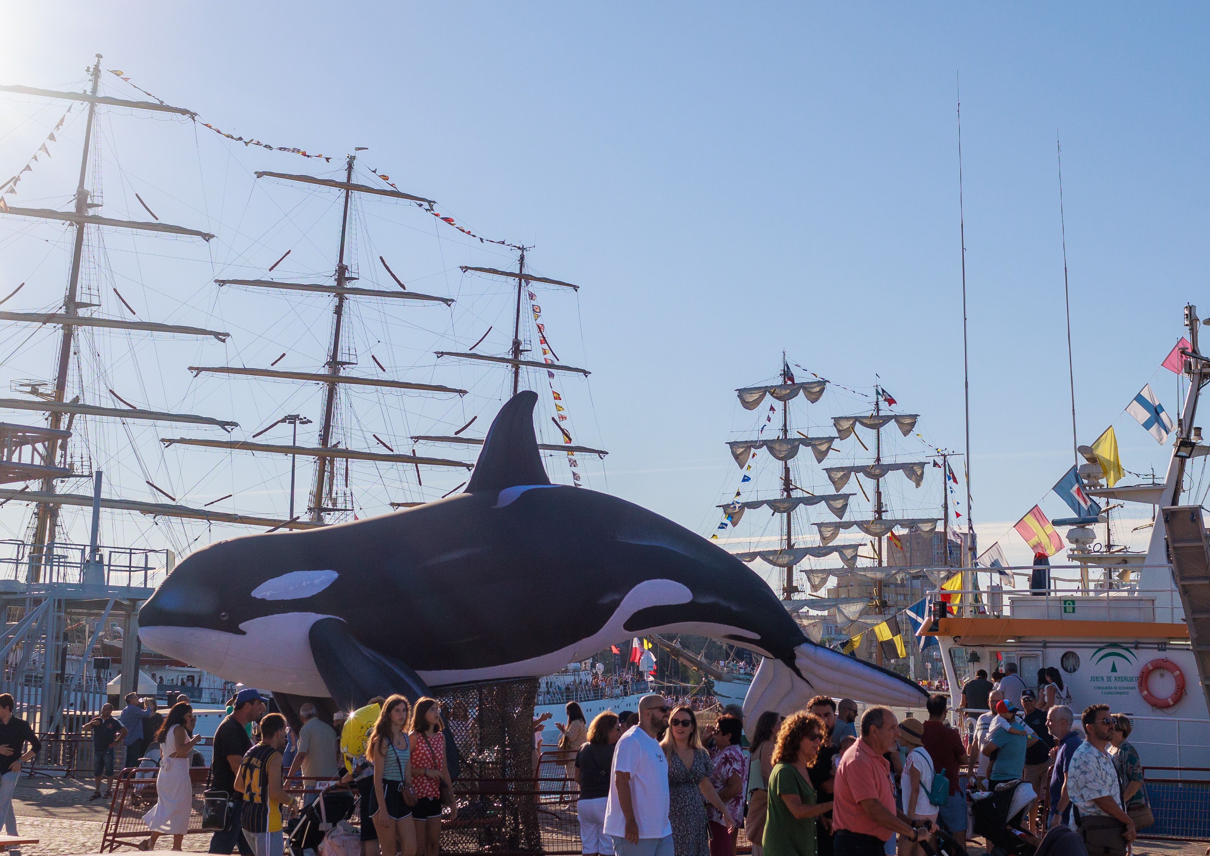 La Gran Regata este sábado, en imágenes