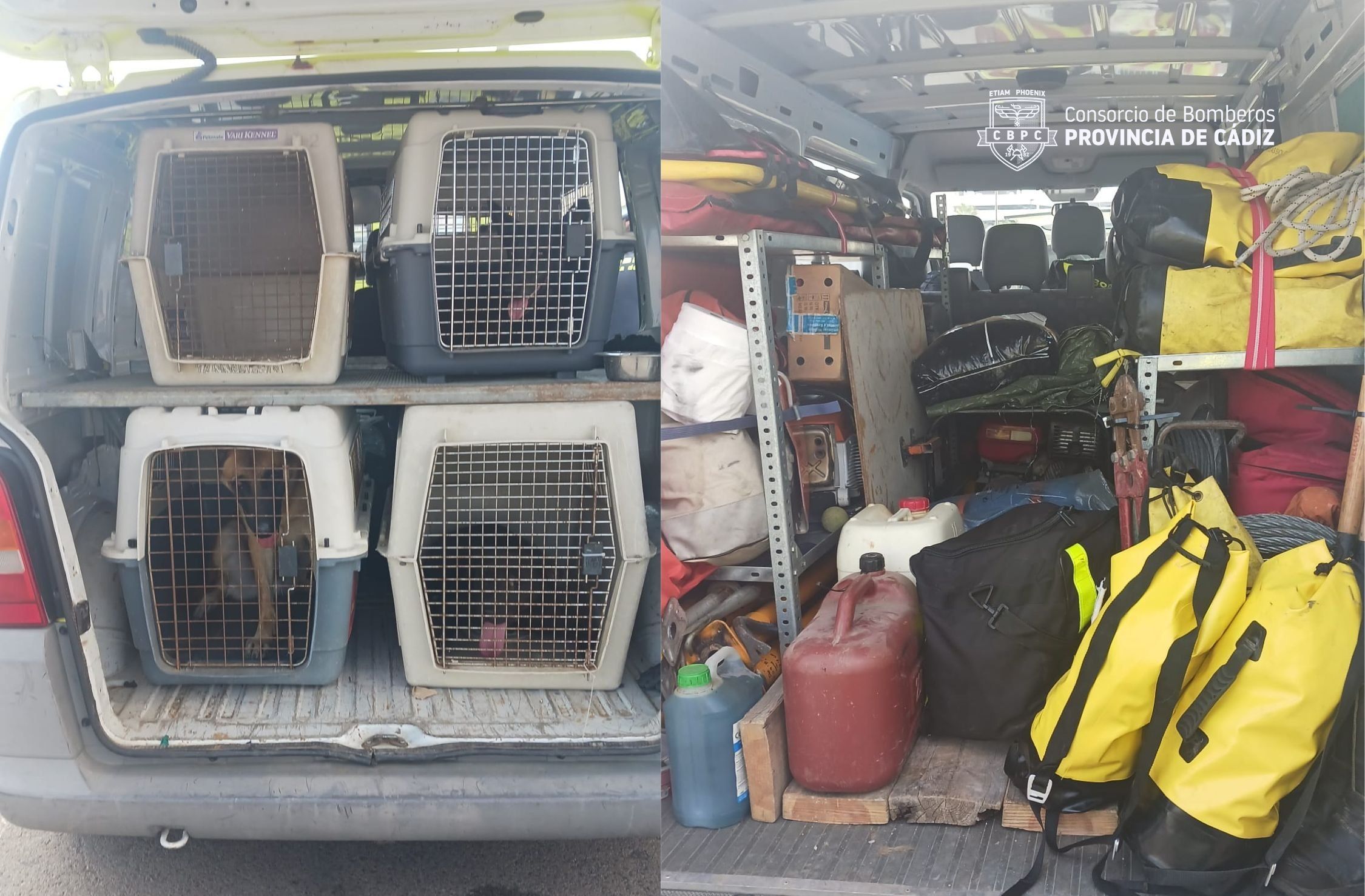 Los perros durante el traslado, a la izquierda. Los medios para auxiliar, a la derecha.