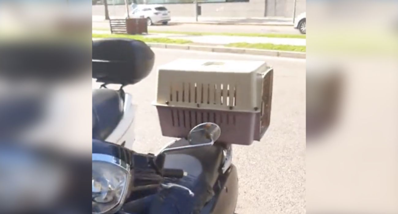 El ingenioso 'invento' de un gaditano para guardar el casco de su moto.