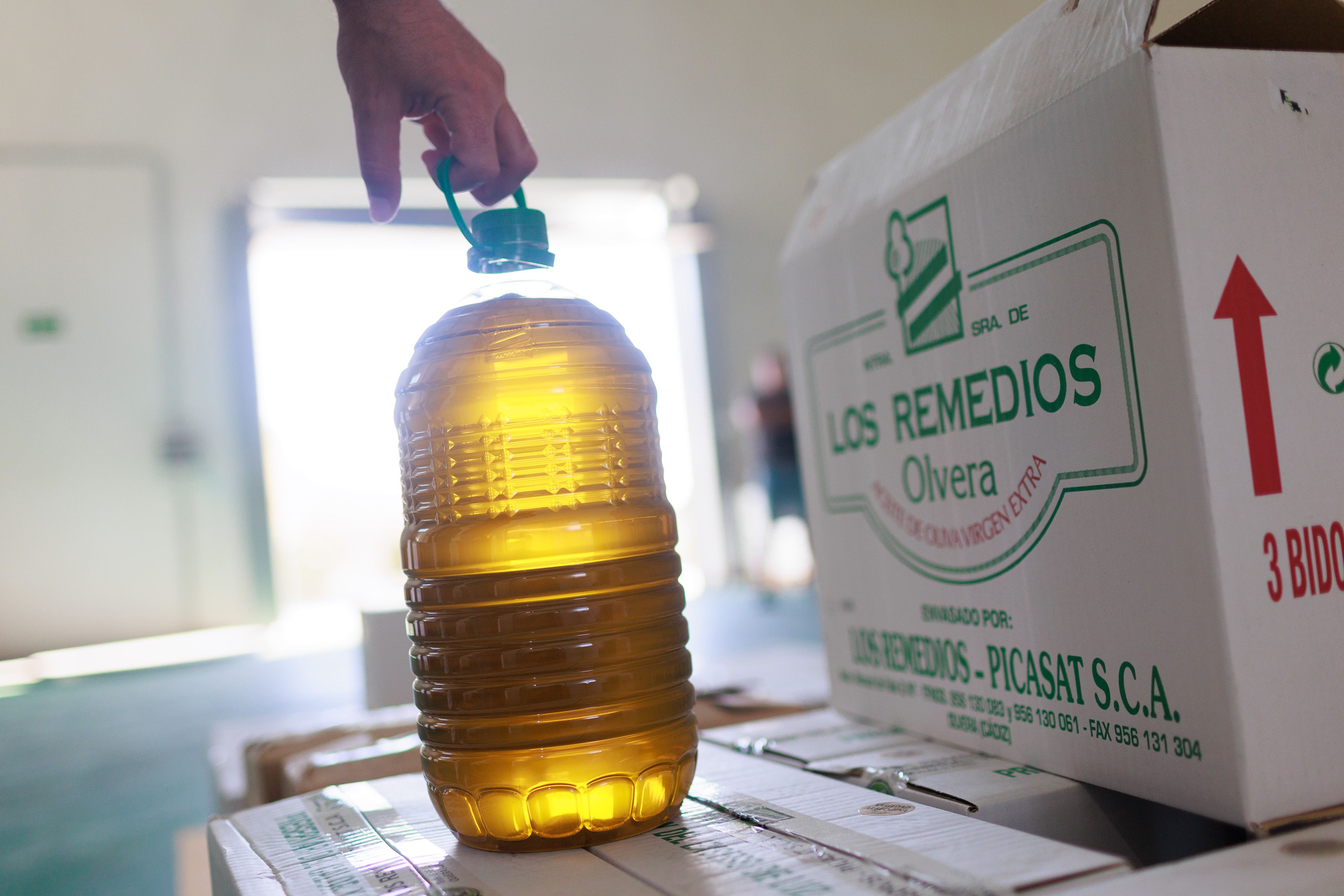 Aceite de oliva de la cooperativa Los Remedios, en Olvera.