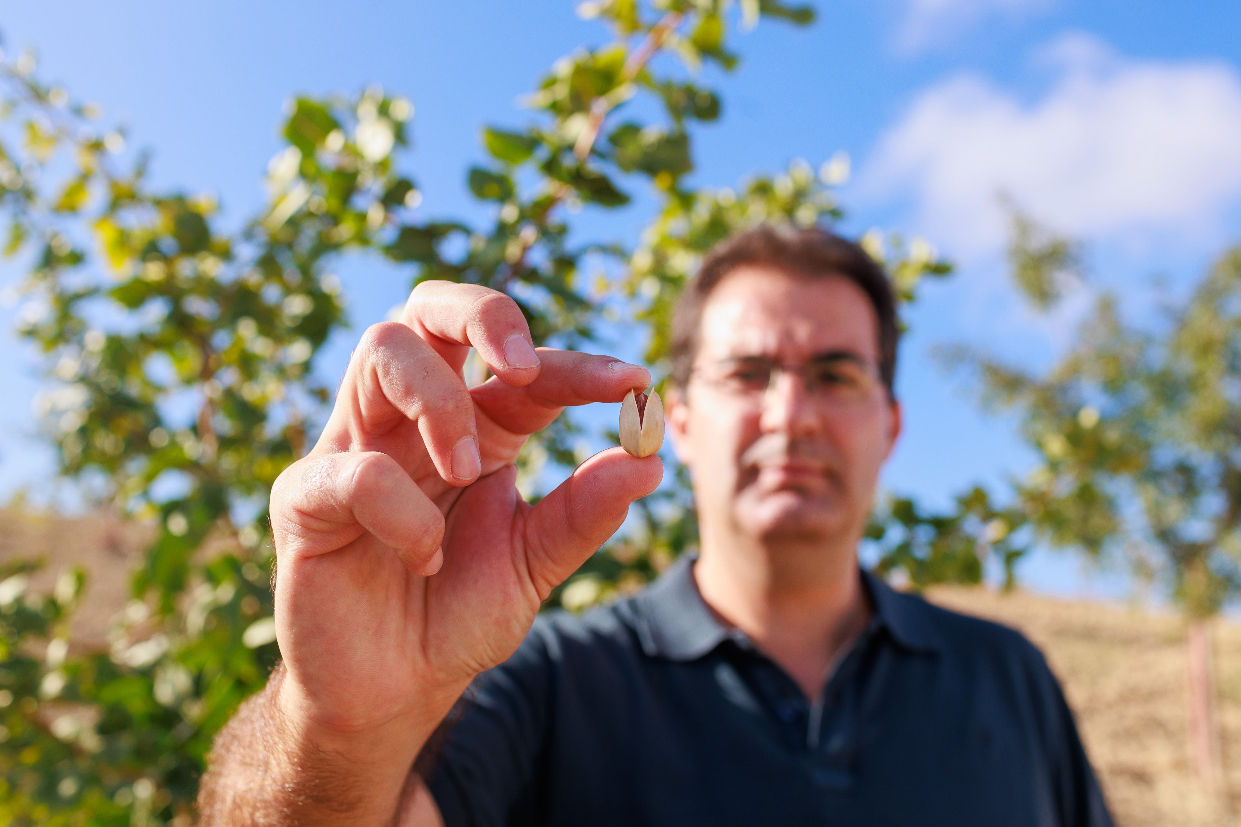 Antonio Gerena, gerente de la Cooperativa Los Remedios, con un pistacho recolectado en Olvera.