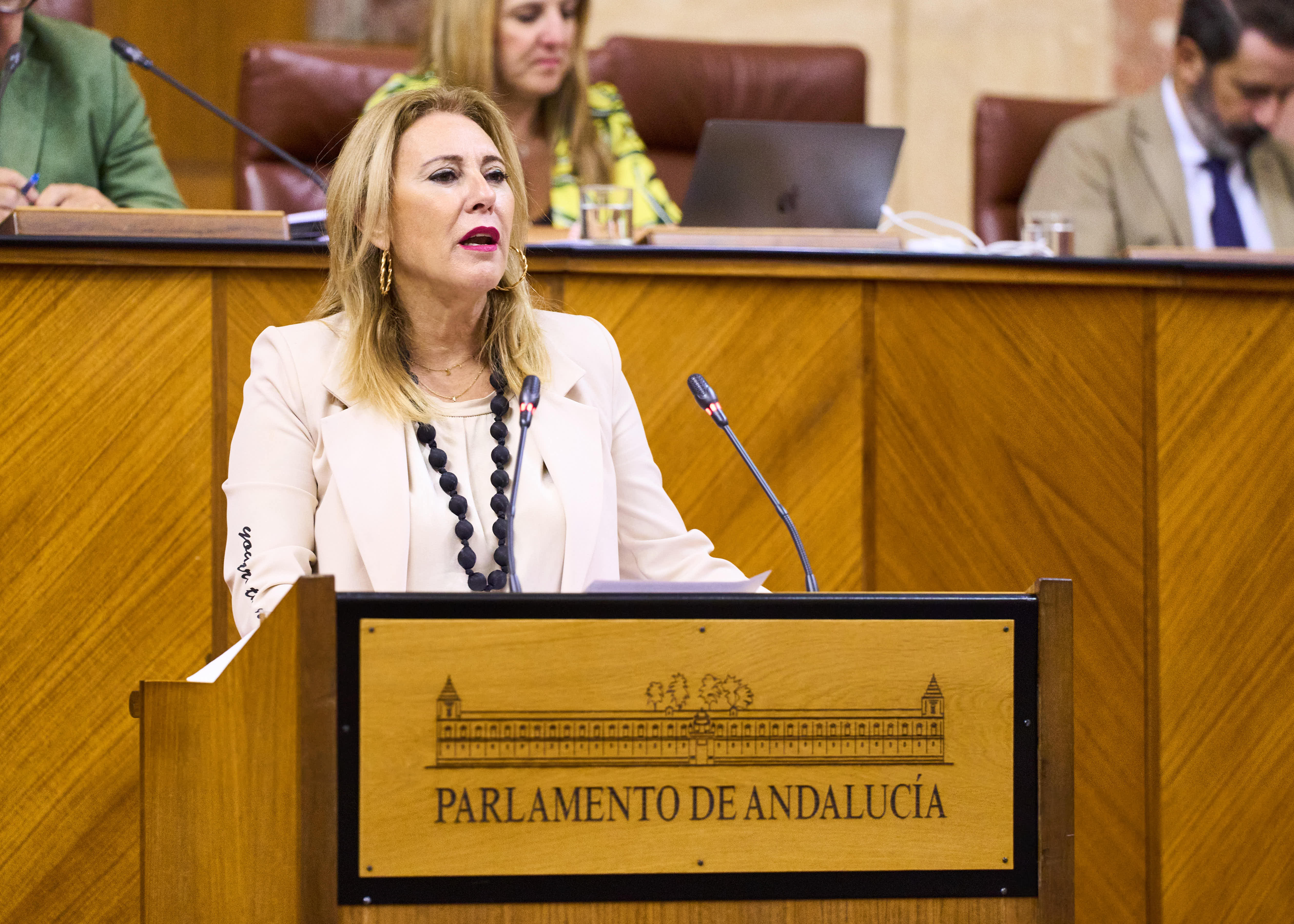 Carolina España, consejera de Economía, Hacienda y Fondos Europeos, en el Parlamento de Andalucía.