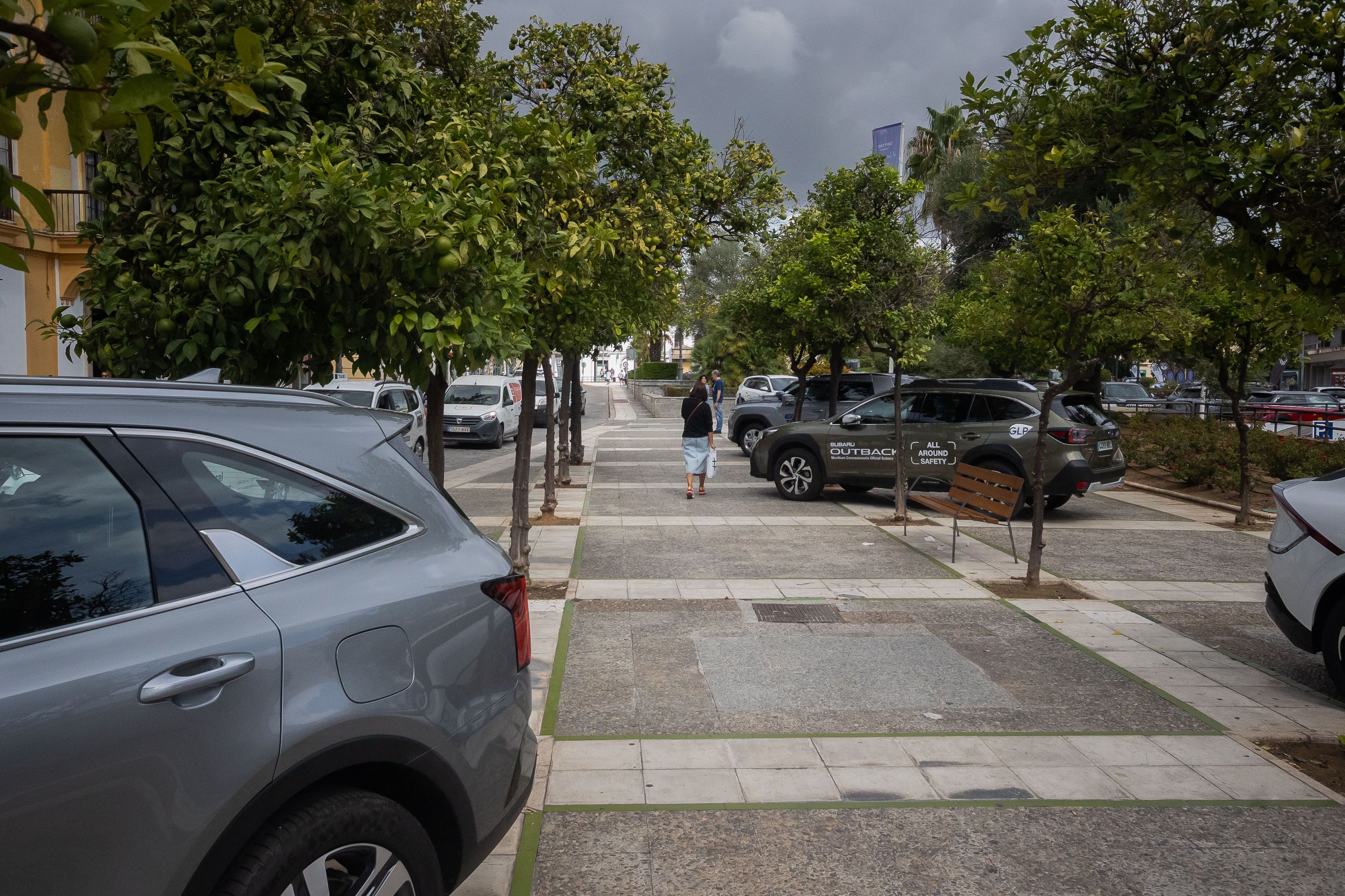 COCHES EN EL MAMELON 2