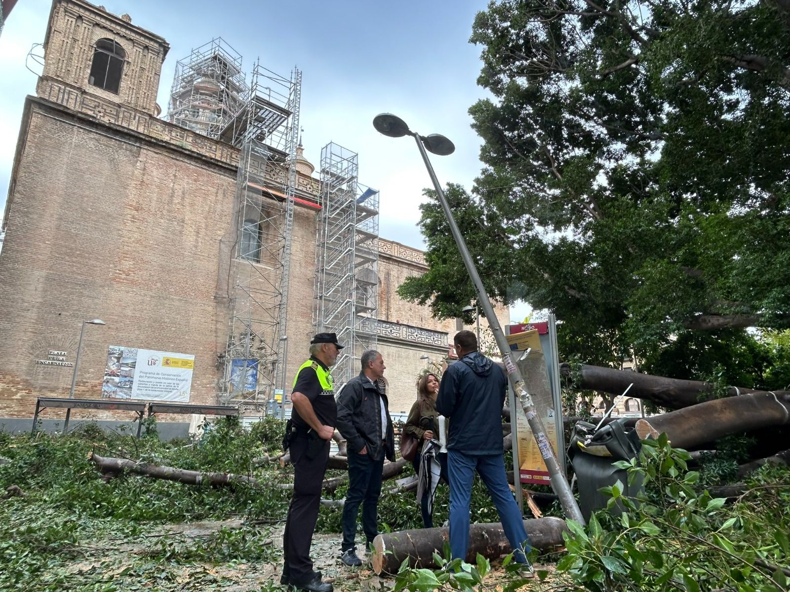El alcalde de Sevilla en el lugar donde cayó el enorme ficus.
