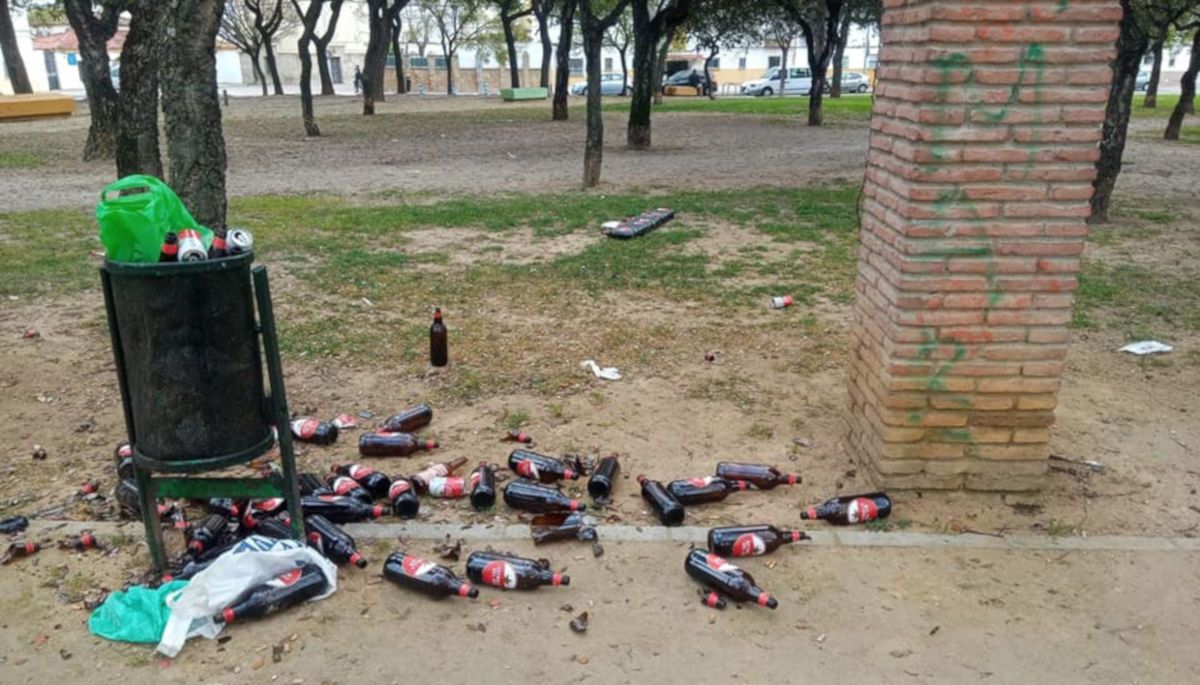 Imagen cedida por los vecinos en el que se muestra el estado del parque.