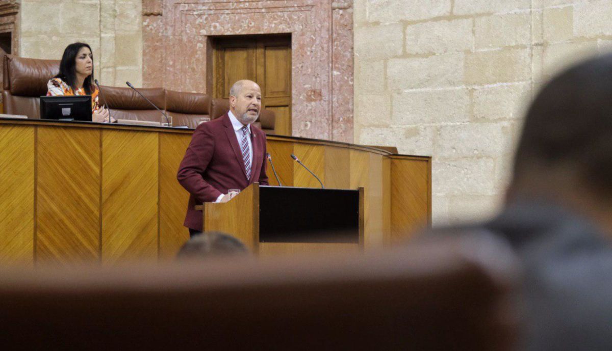 Javier Imbroda, en un pleno. 