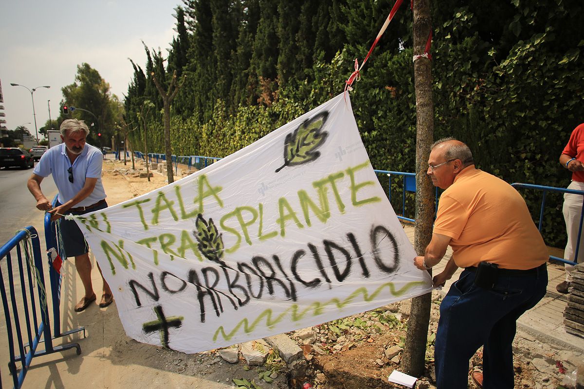 Protestas en agosto de 2015 por la tala de árboles en la zona Norte para la construcción del carril bici.