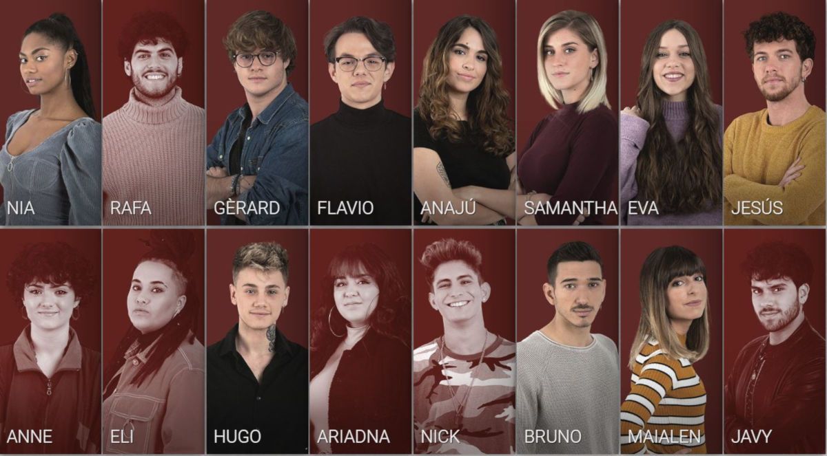 Los componentes de OT 2020. FOTO: RTVE.ES