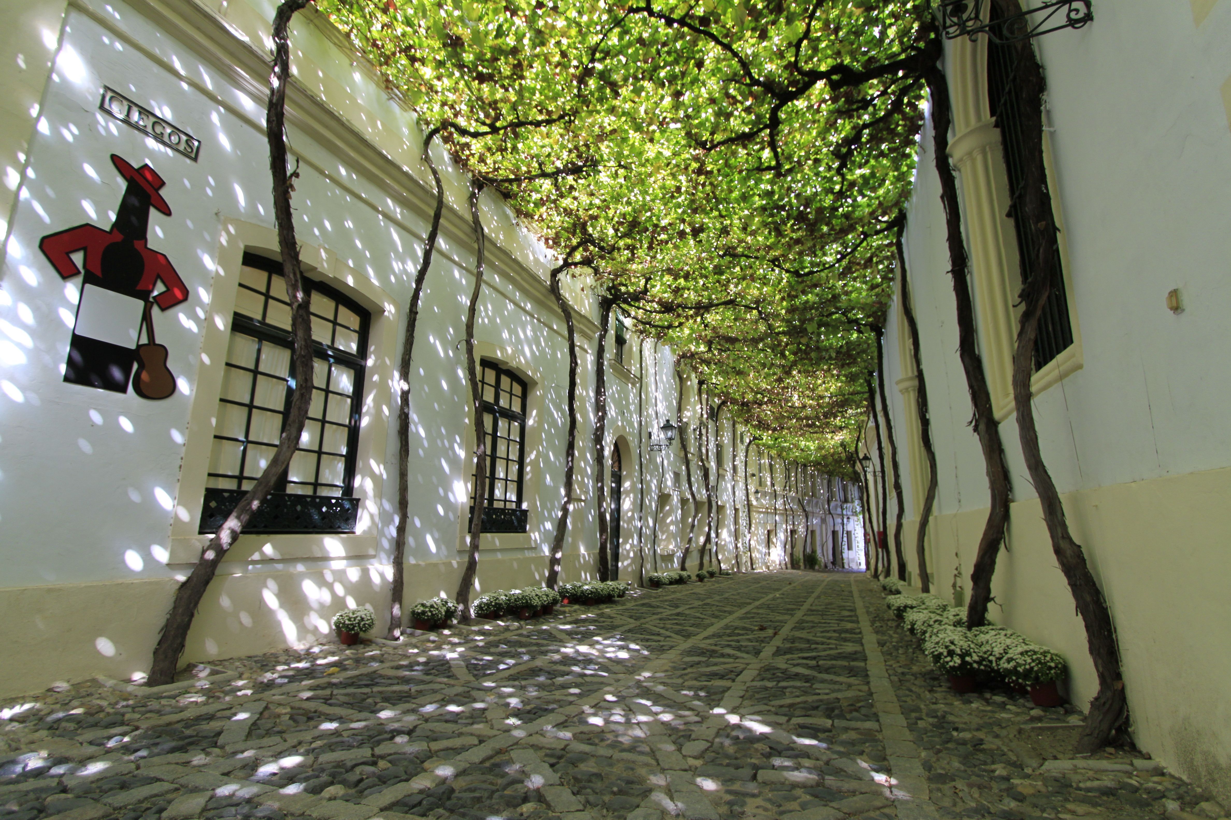 Una imagen de la maravillosa calle Ciegos, desde la que se accede a las bodegas González Byass.