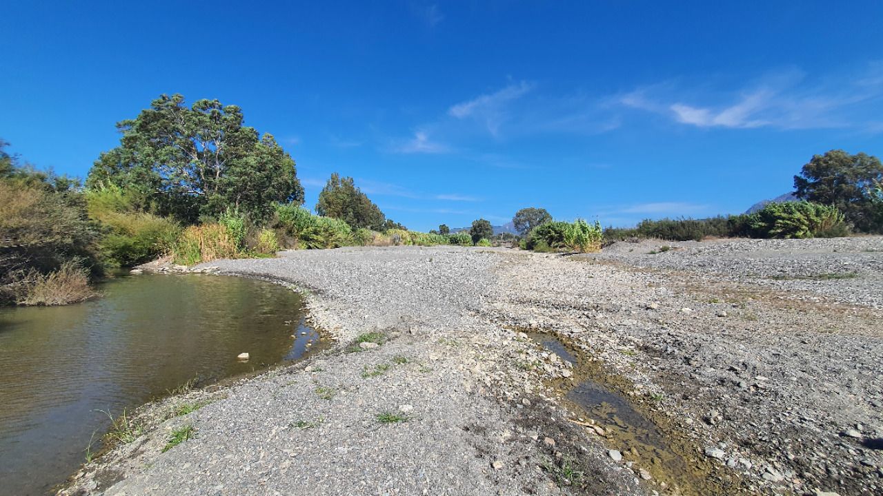 Estado en que ha quedado el río Guadiaro, en una imagen de Verdemar.