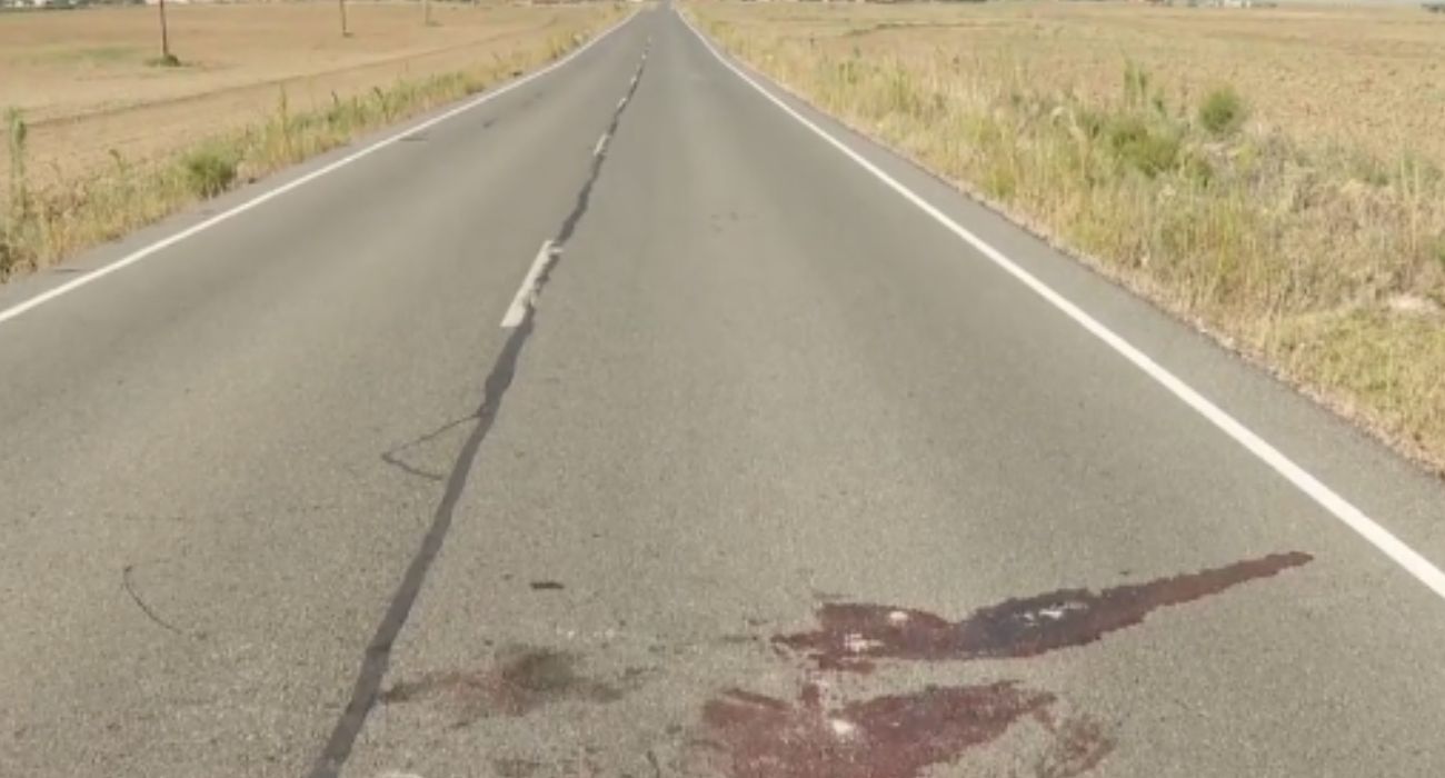 Carretera en la que tuvo lugar el atropello.