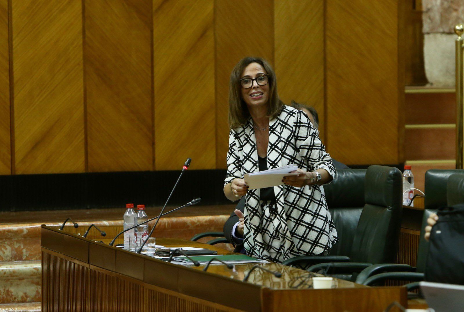 La consejera Rocío Díaz en el Parlamento.