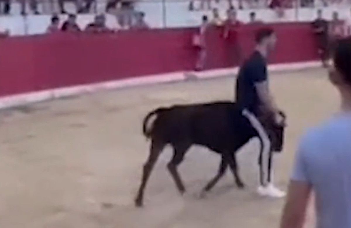 Humillan a una vaquilla en las fiestas de Villarodrigo en Jaén.