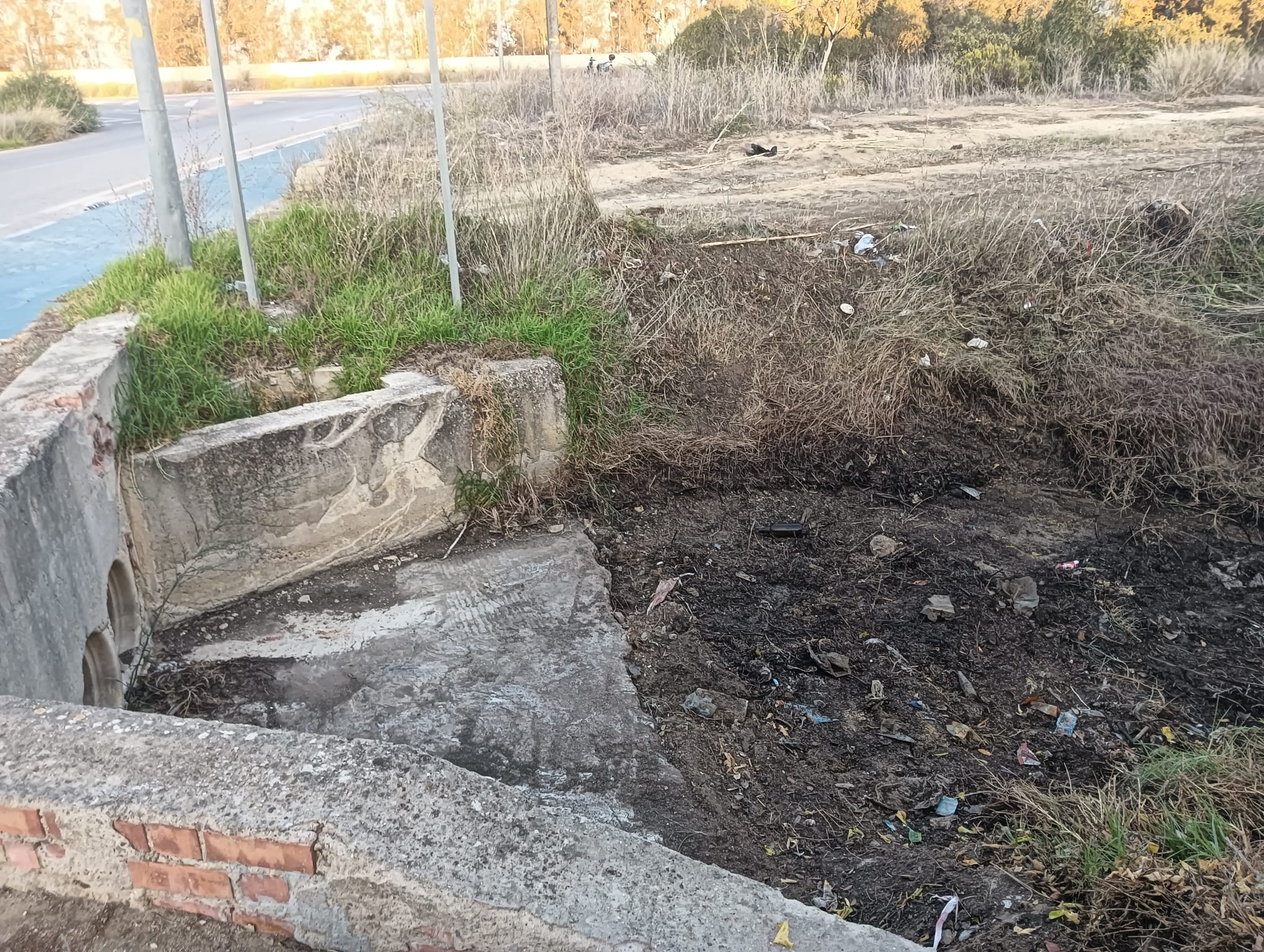 Imagen de la situación de Puerto Real.