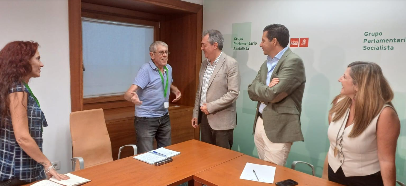 vecinos asuncion psoe