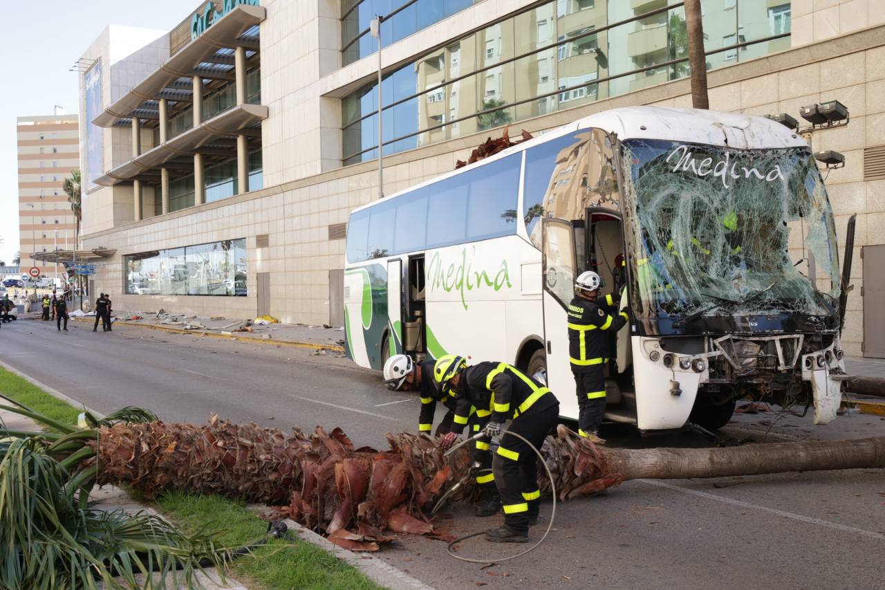 Los bomberos retiran palmeras arrasadas por el autobús que invadió la acera situada junto a la rotonda.   JUAN CARLOS TORO
