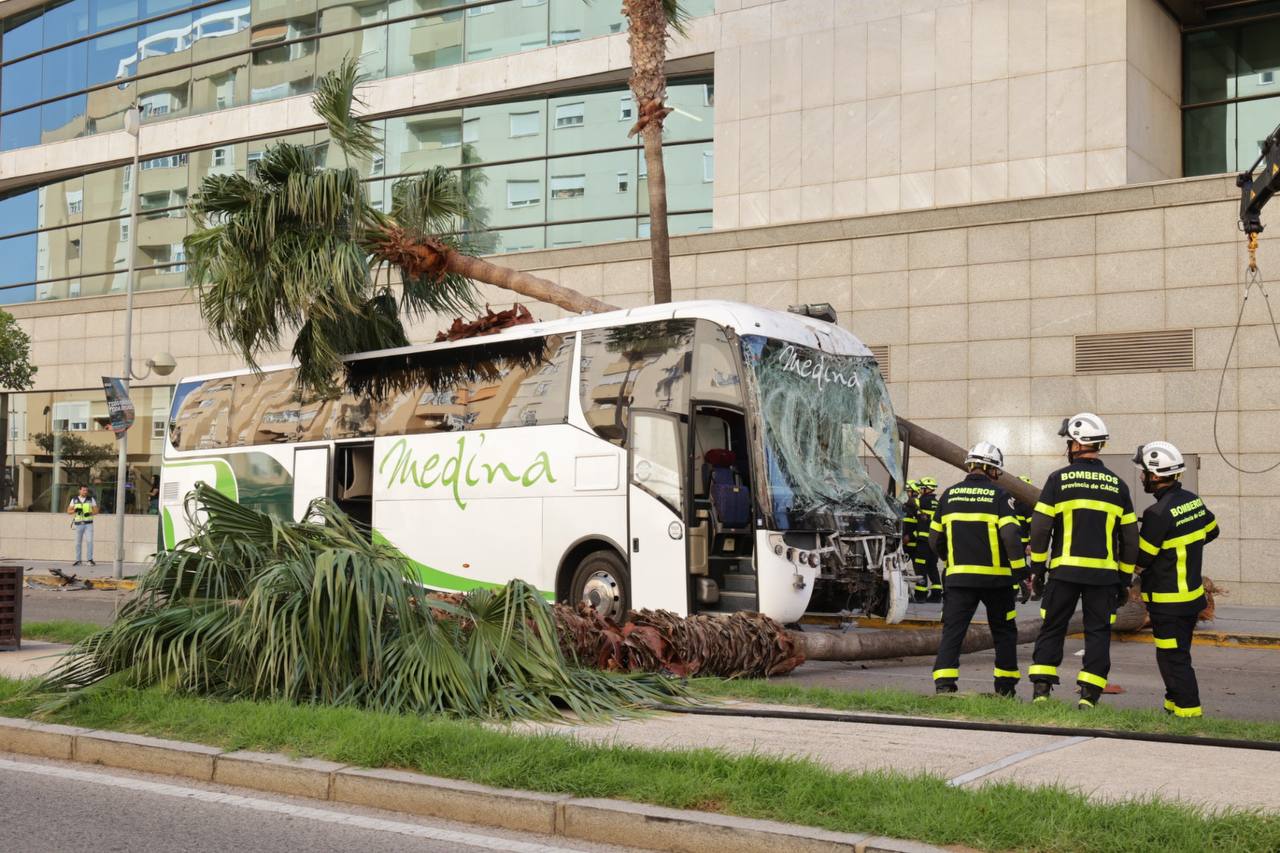 El autobús siniestrado, con las dos palmeras que arrasó a su paso por la acera.