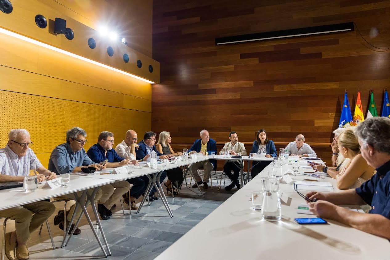 Consejo de Participación Ciudadana en San Fernando.