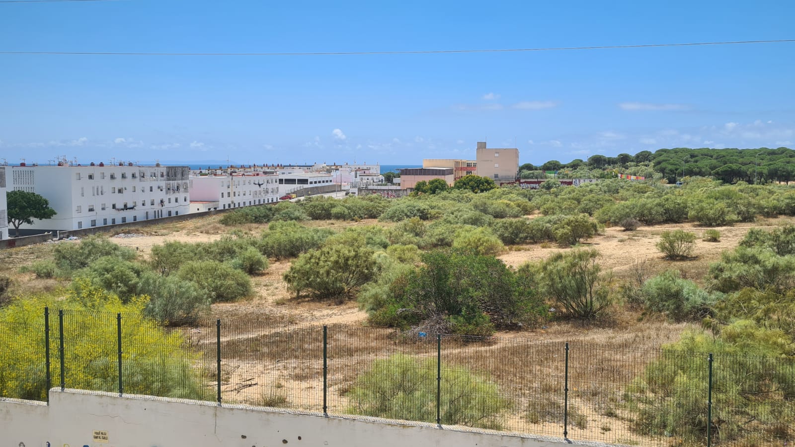 Los terrenos de Jarillo en Barbate donde se desarrollará la actuación urbanística. 