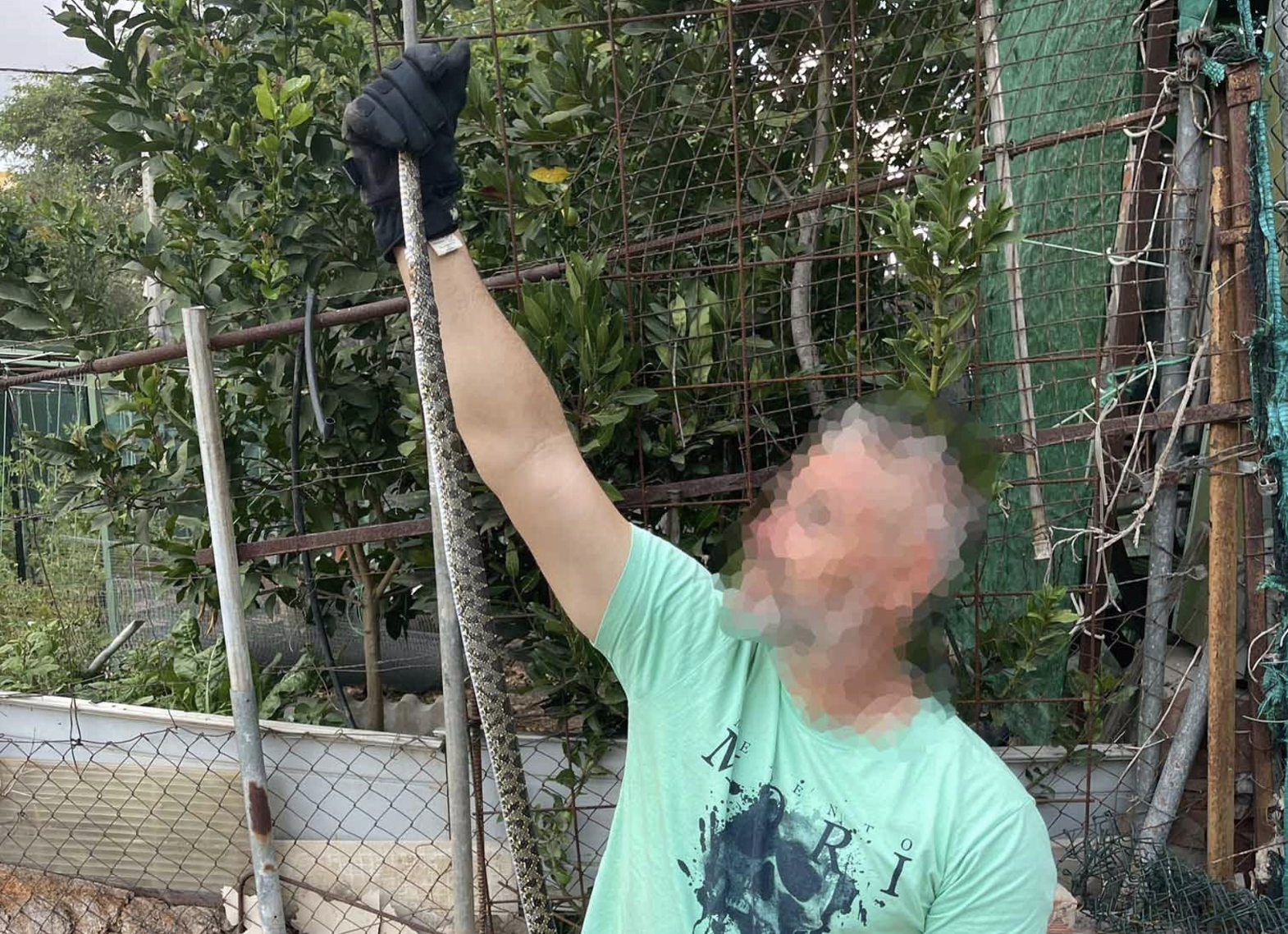 Un agente de la Policía Local con la culebra de herradura encontrada en un centro de mayores de Algeciras. 