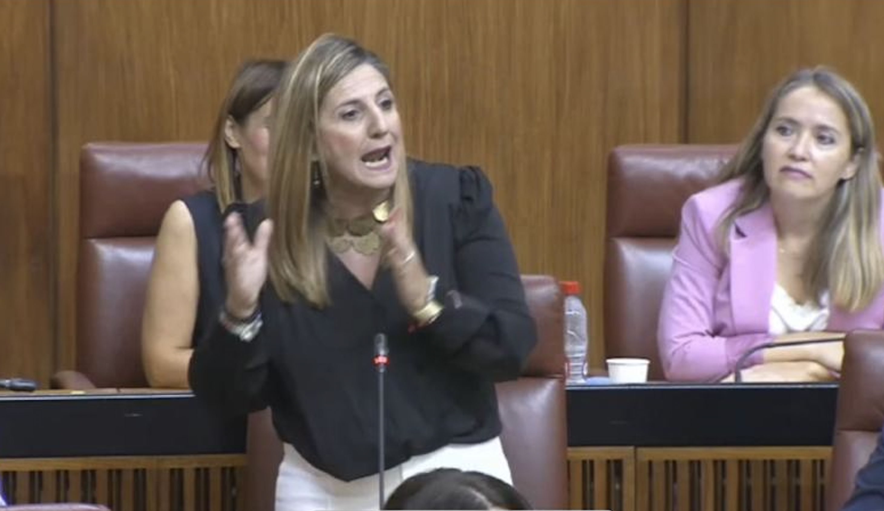 Irene García durante el pleno del Parlamento andaluz.