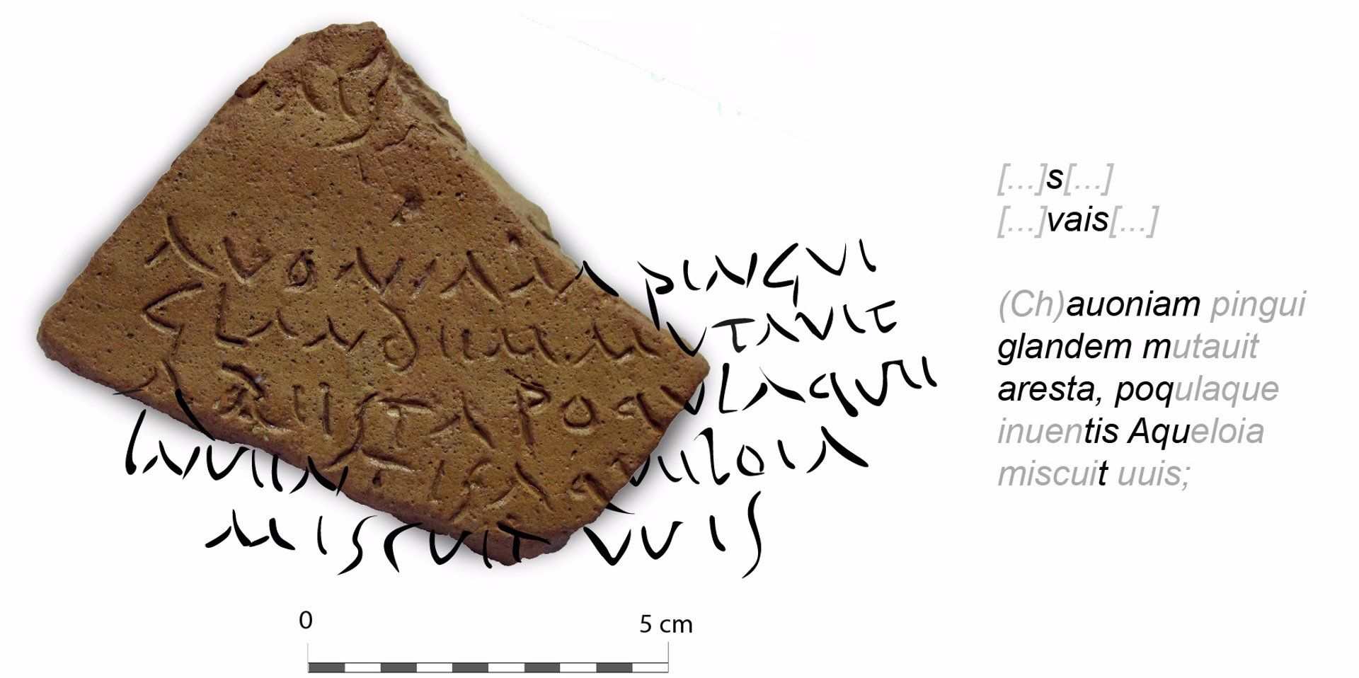 Expuesto un fragmento de ánfora con versos de 'Las Geórgicas' de Virgilio. En la imagen, cartel con la pieza con la inscripción aumentada.