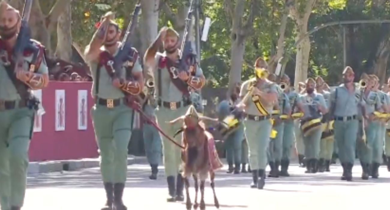 Pacoli, la mascota de la Legión, ha acaparado muchas de las miradas del desfile militar.