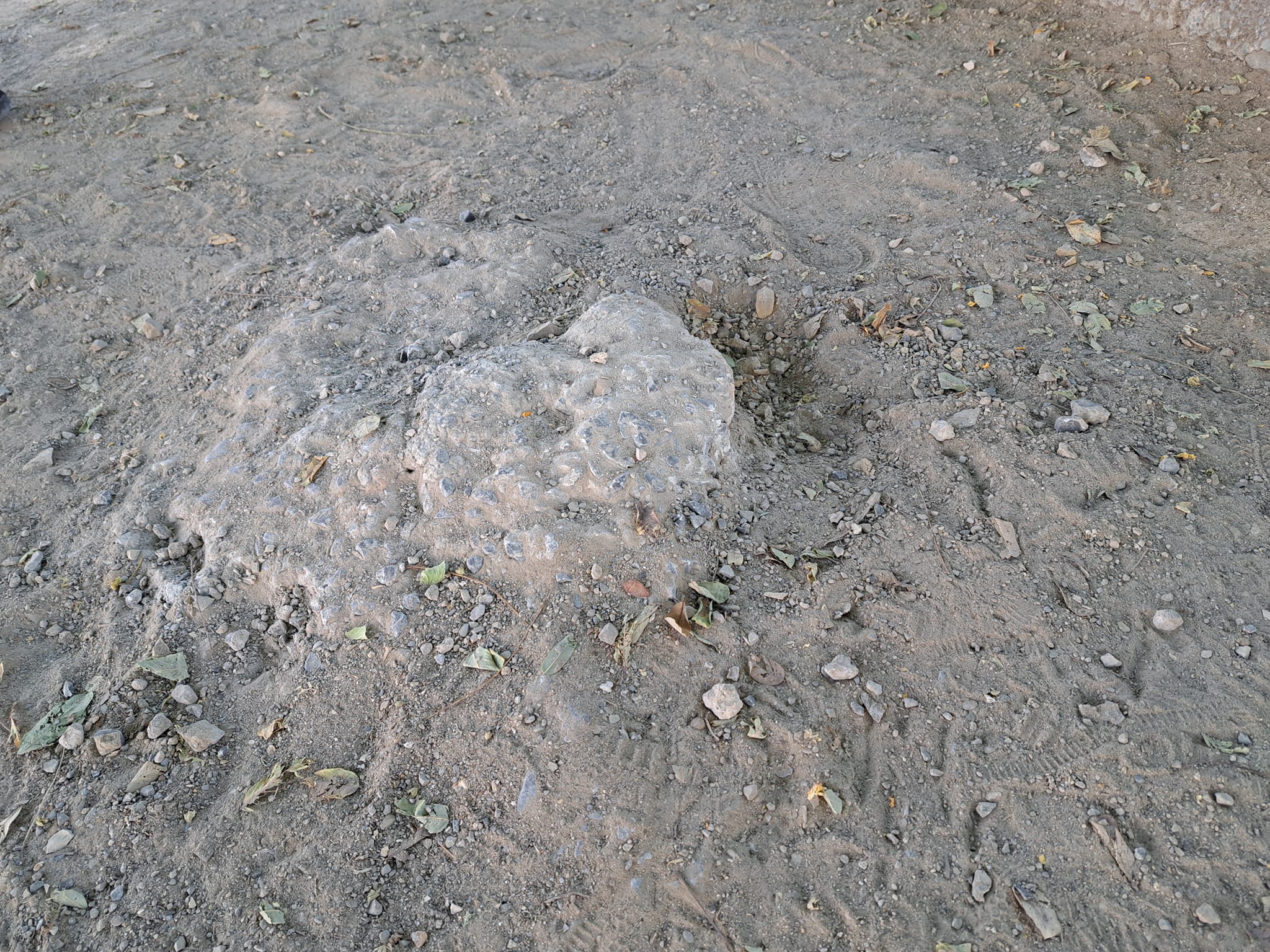 386748618 822993766290426 959230017626217981 n