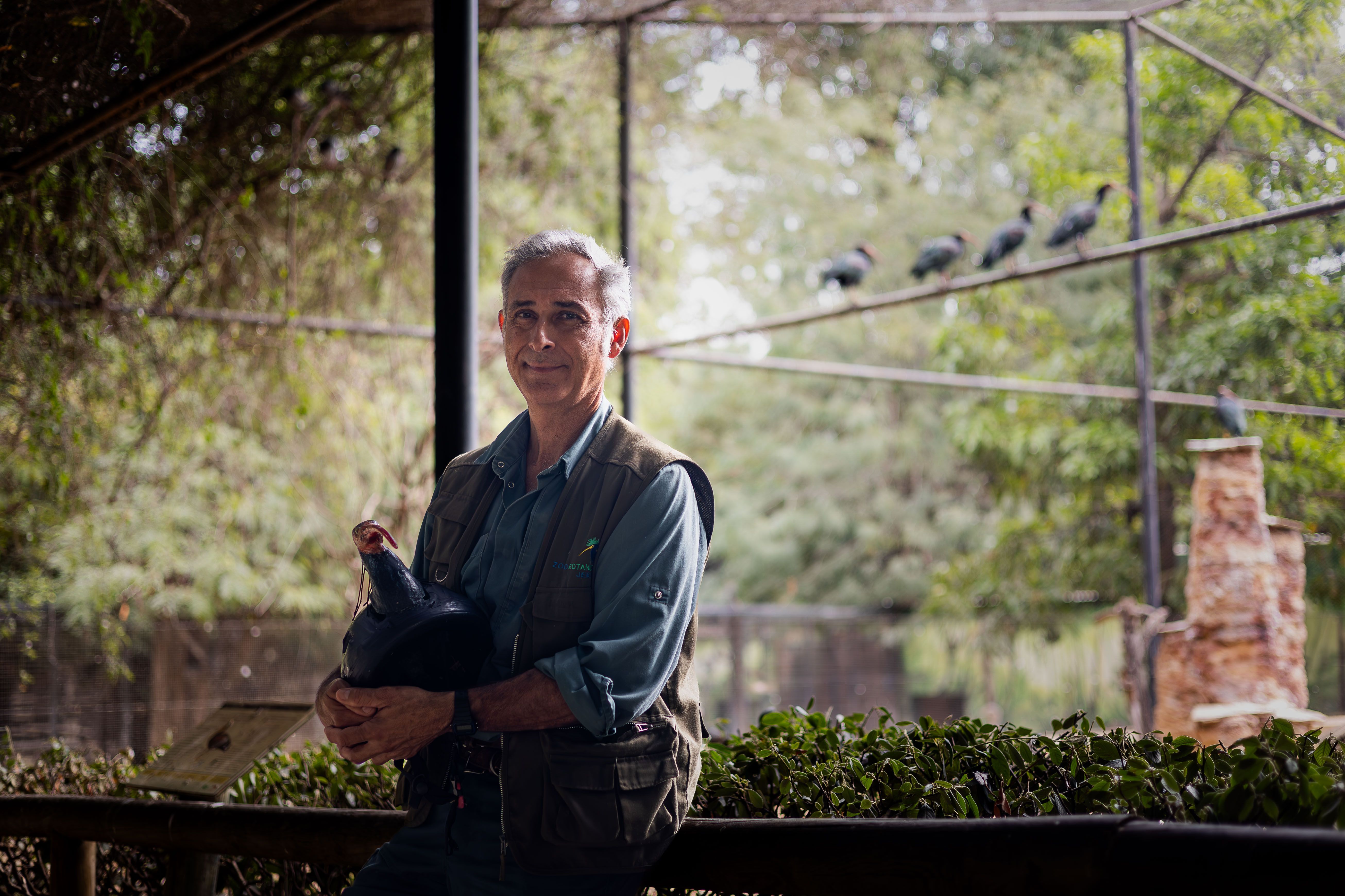 Miguel Ángel Quevedo, responsable de proyecto de conservación del ibis eremita en el Zoobotánico de Jerez. 