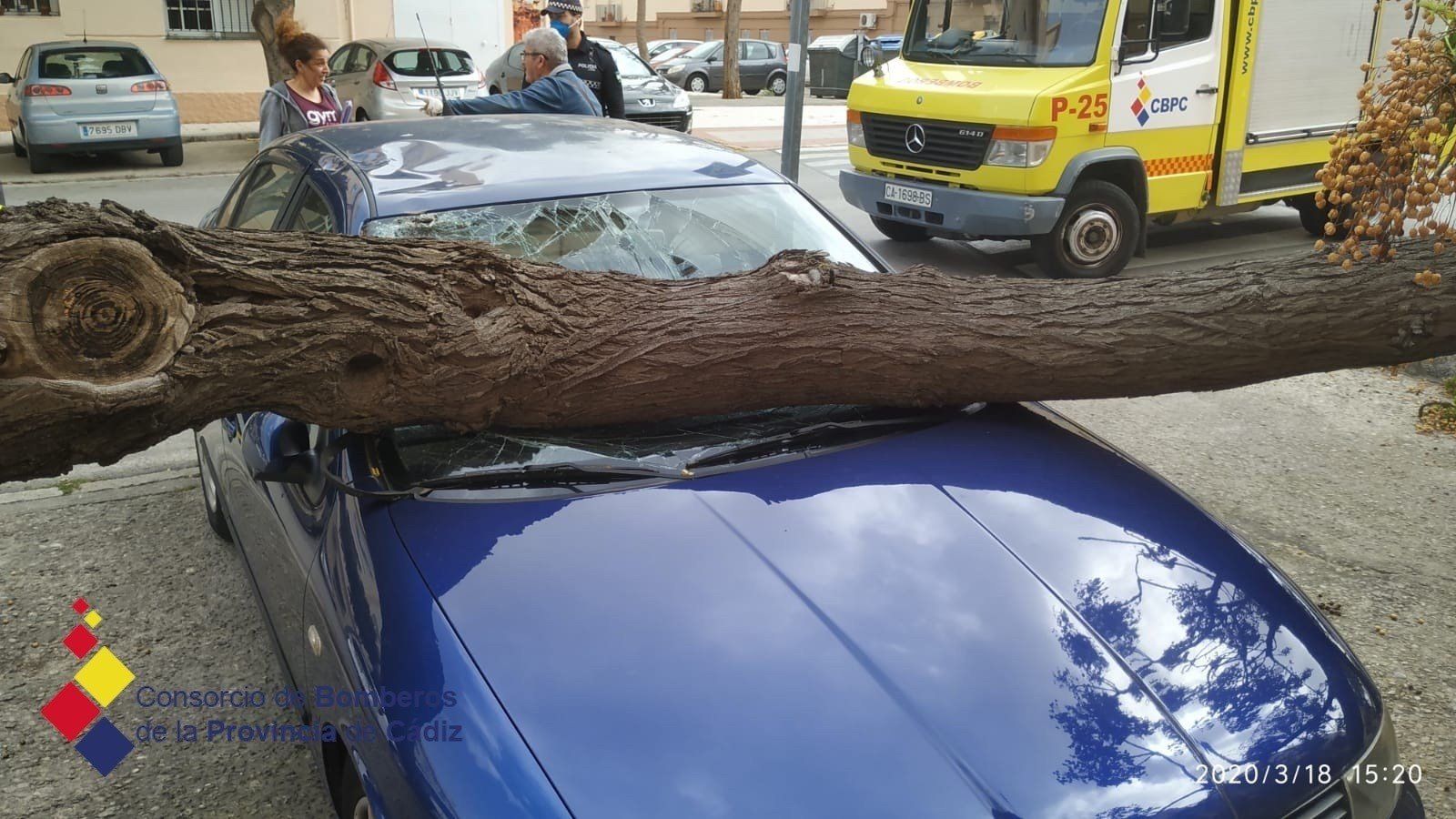Caída de la rama de un árbol sobre un coche por el viento en San Fernando.