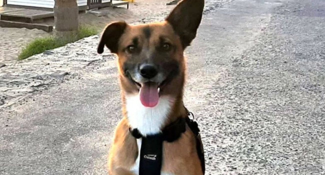 Max, de momento, no podrá estar en la boda de Conchi y Roberto.