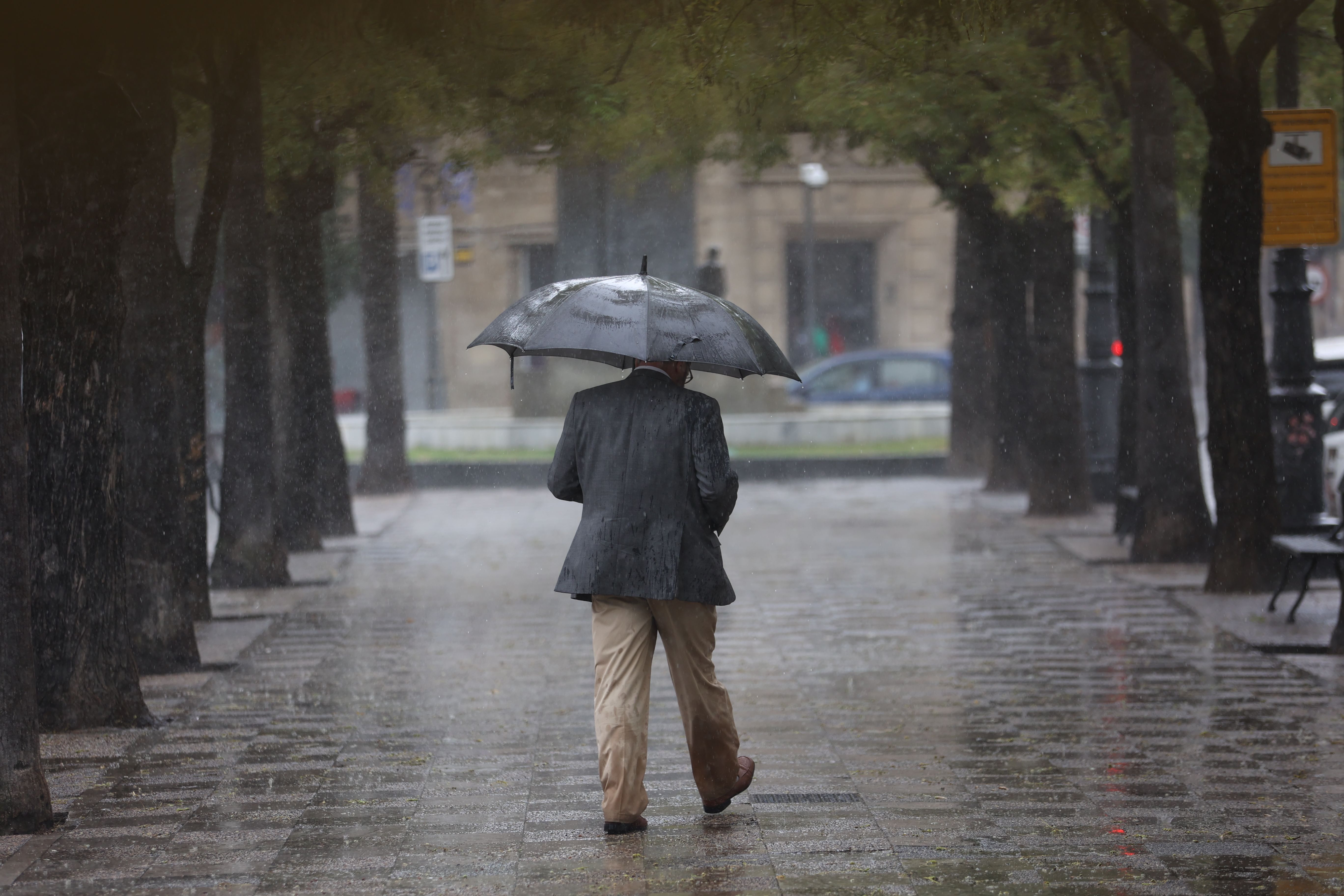Paraguas en el centro de Jerez, este martes por la tarde.