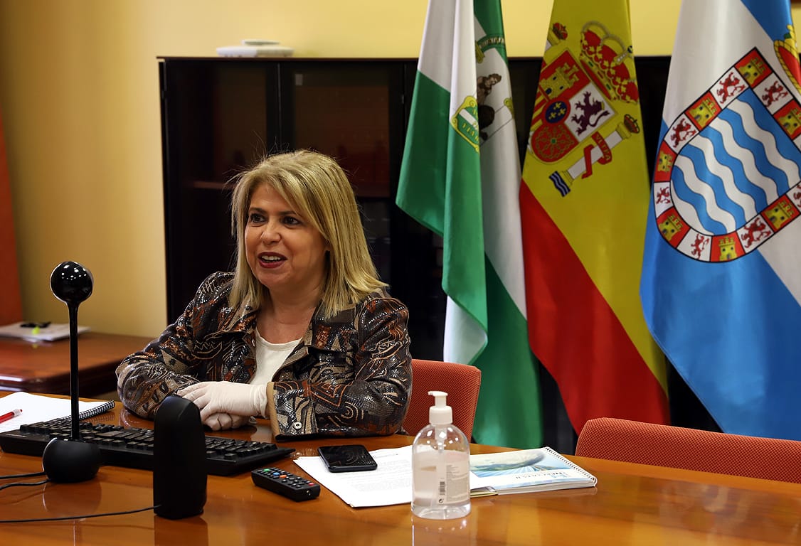 Mamen Sánchez, este pasado miércoles, en videoconferencia.