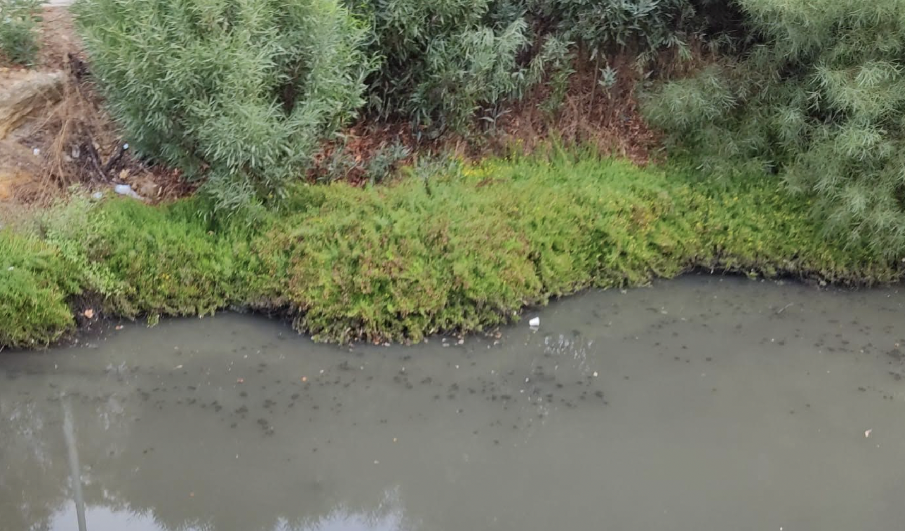 Vertido de aguas residuales en el río Guadarranque, en Los Barrios.
