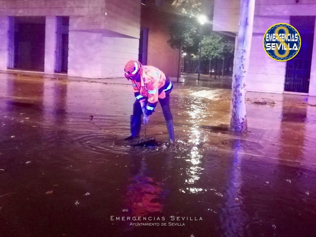 Una de las muchas intervenciones de los equipos de emergencia y operarios municipales en Sevilla.
