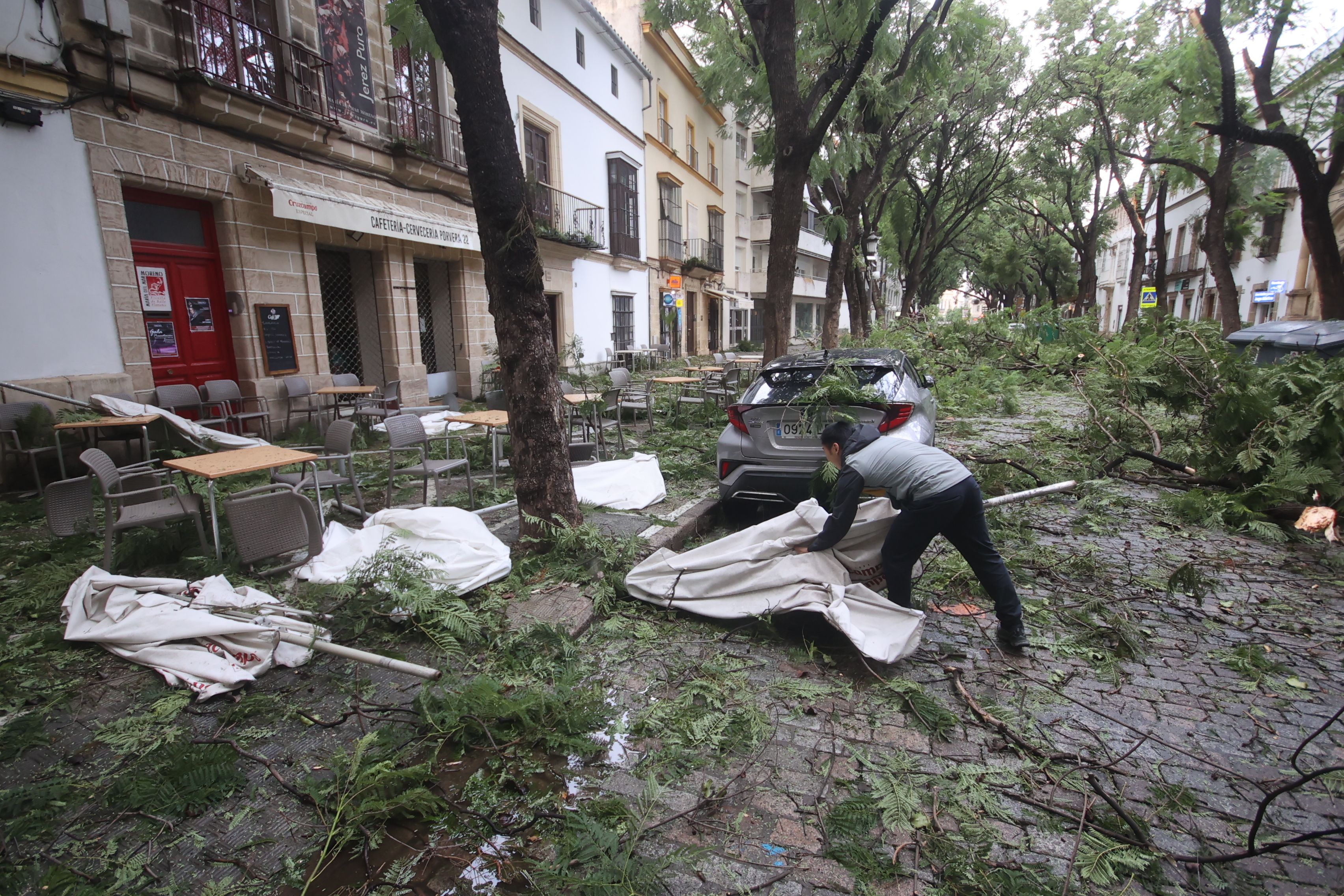 Imagen de una trabajadora en Jerez recogiendo la terraza entre ramas durante el temporal.