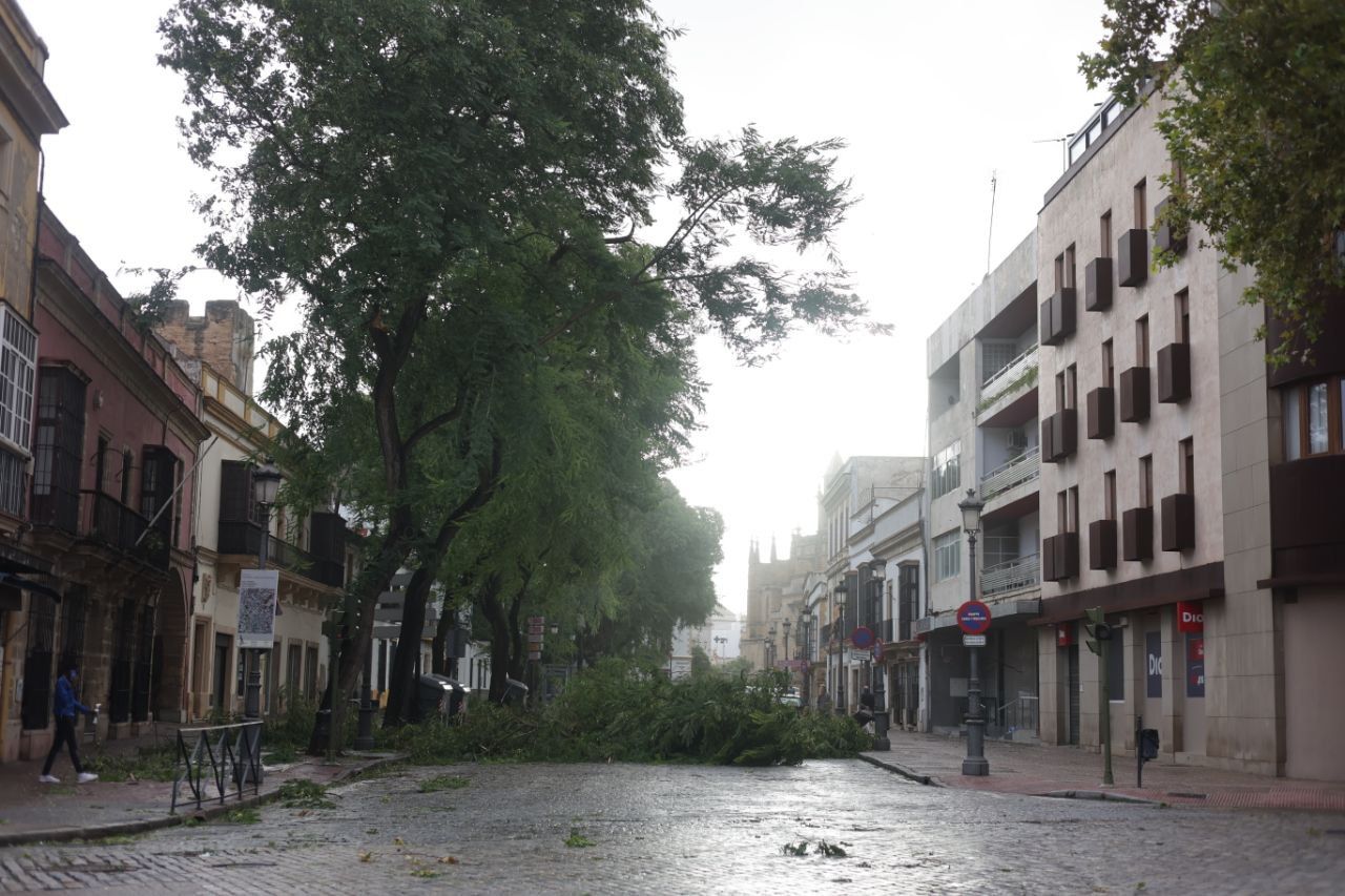 TEMPORAL JEREZ BERNARD