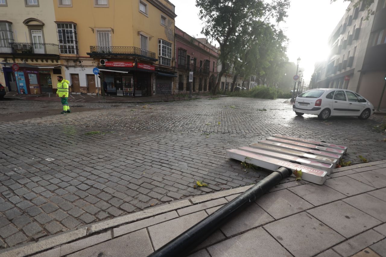 JEREZ TEMPORAL BERNARD