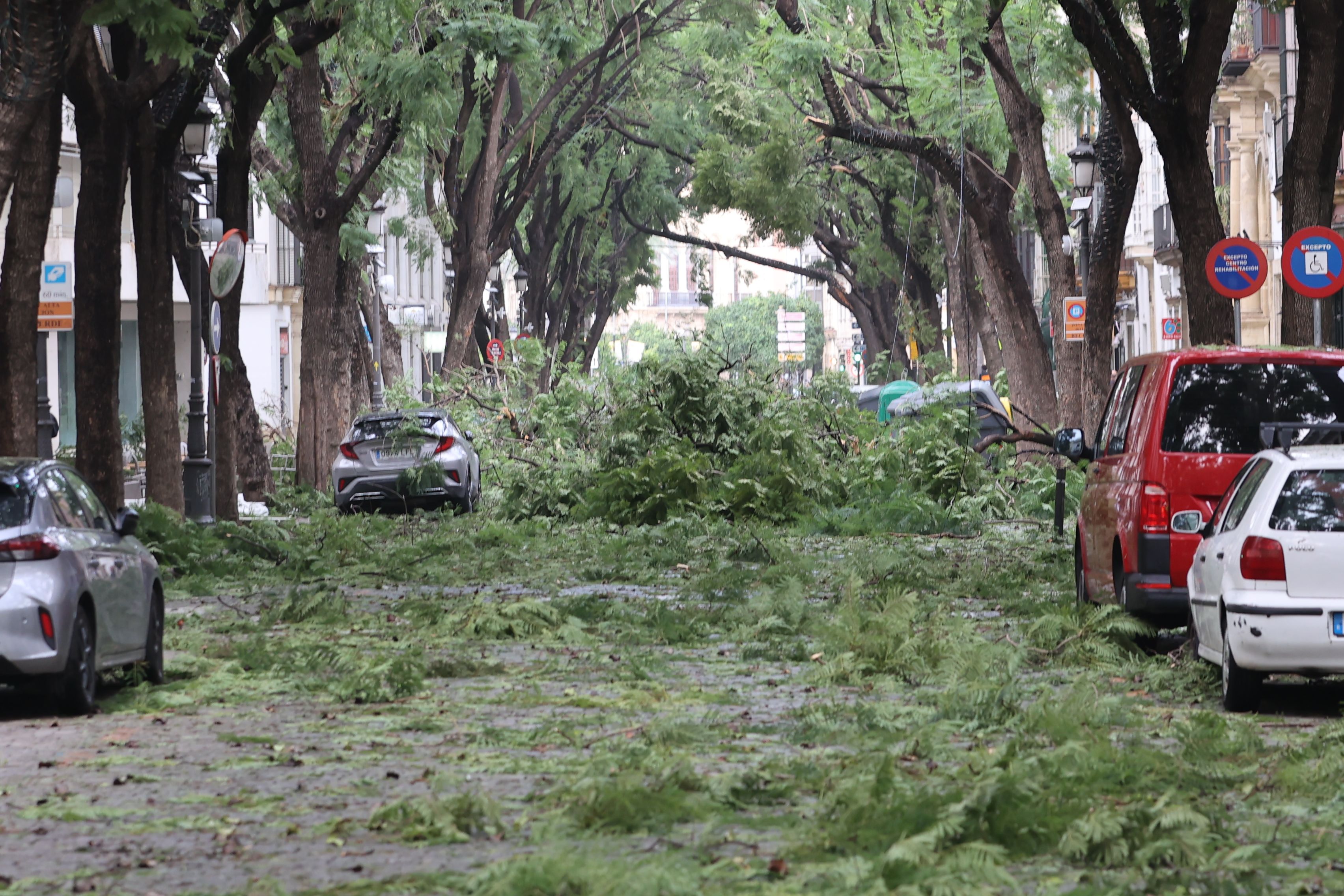 TEMPORAL JEREZ BERNARD