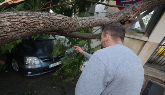TEMPORAL JEREZ BERNARD