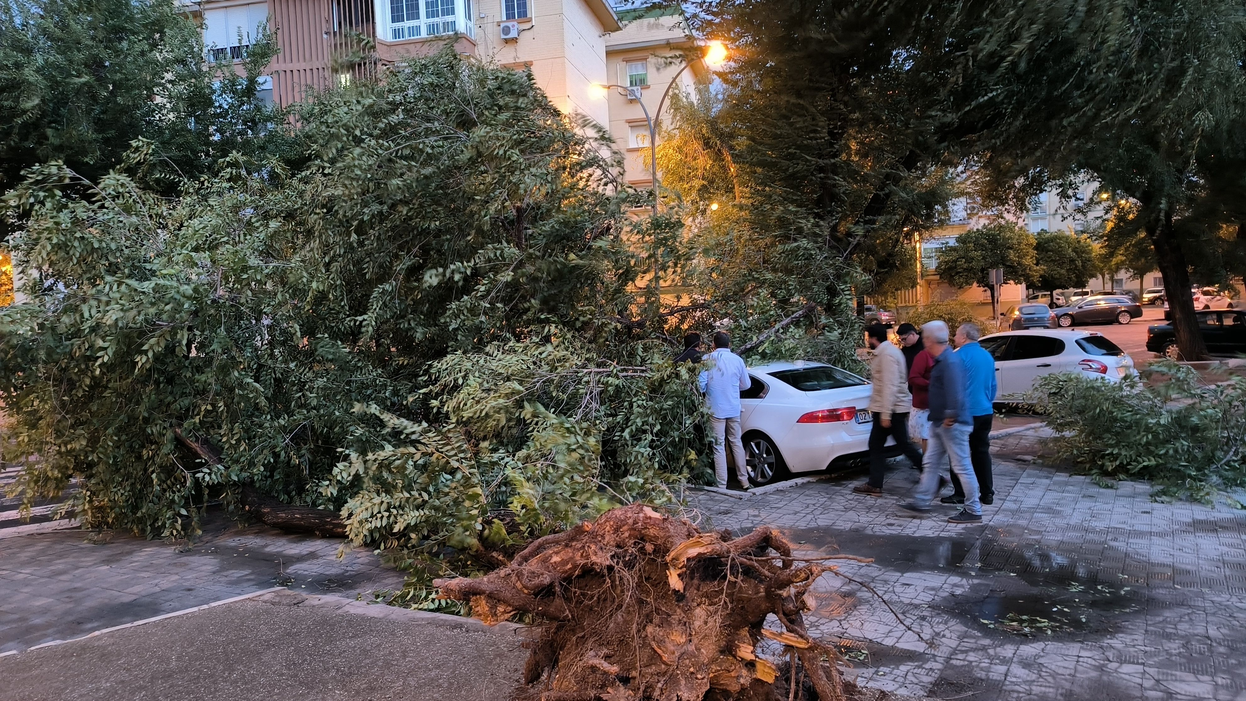 Un coche afectado por el viento en Sevilla, en una imagen de archivo. Un coche afectado por el viento en Sevilla, en una imagen de archivo.
