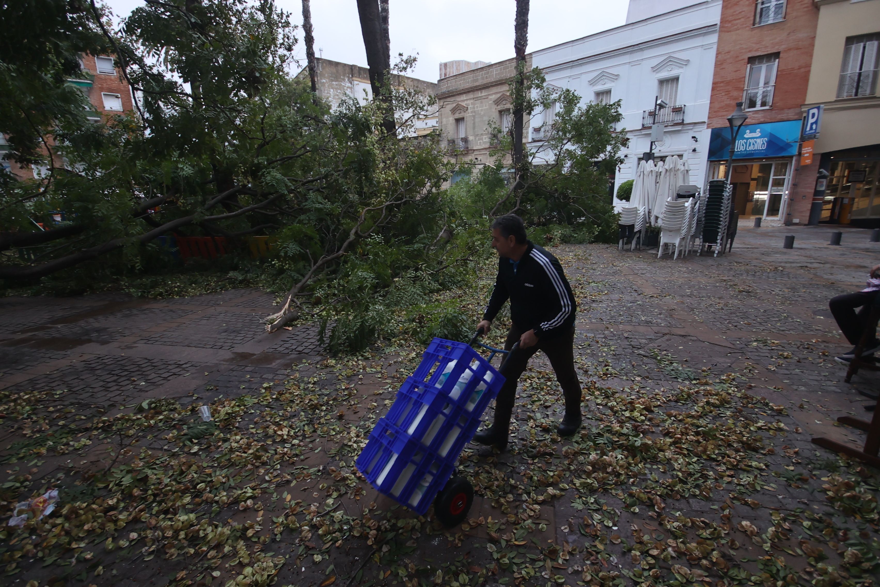 Un trabajador junto a ramas caídas, este lunes en el centro de Jerez.