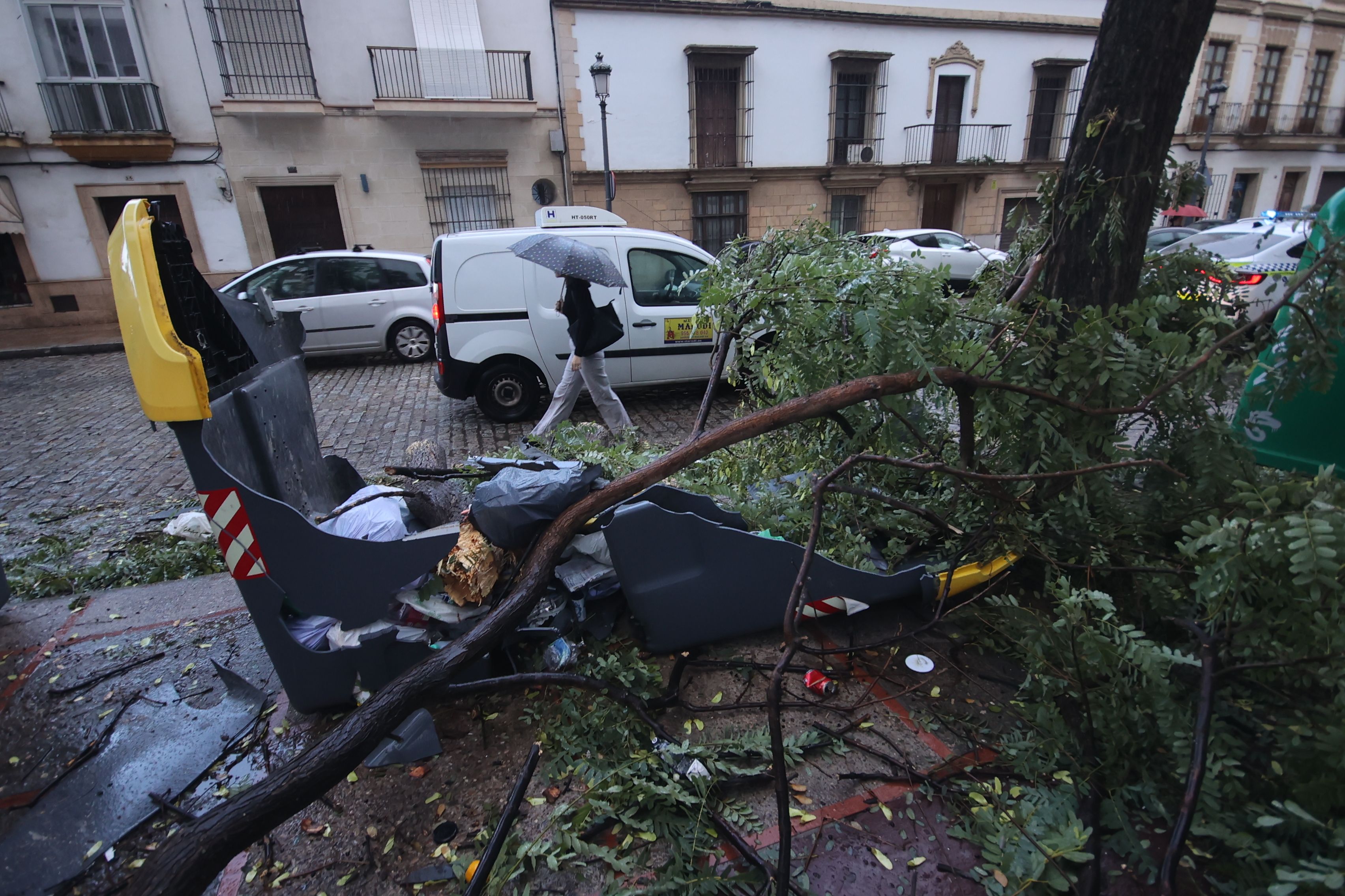 El lunes tras el temporal de viento en Jerez.