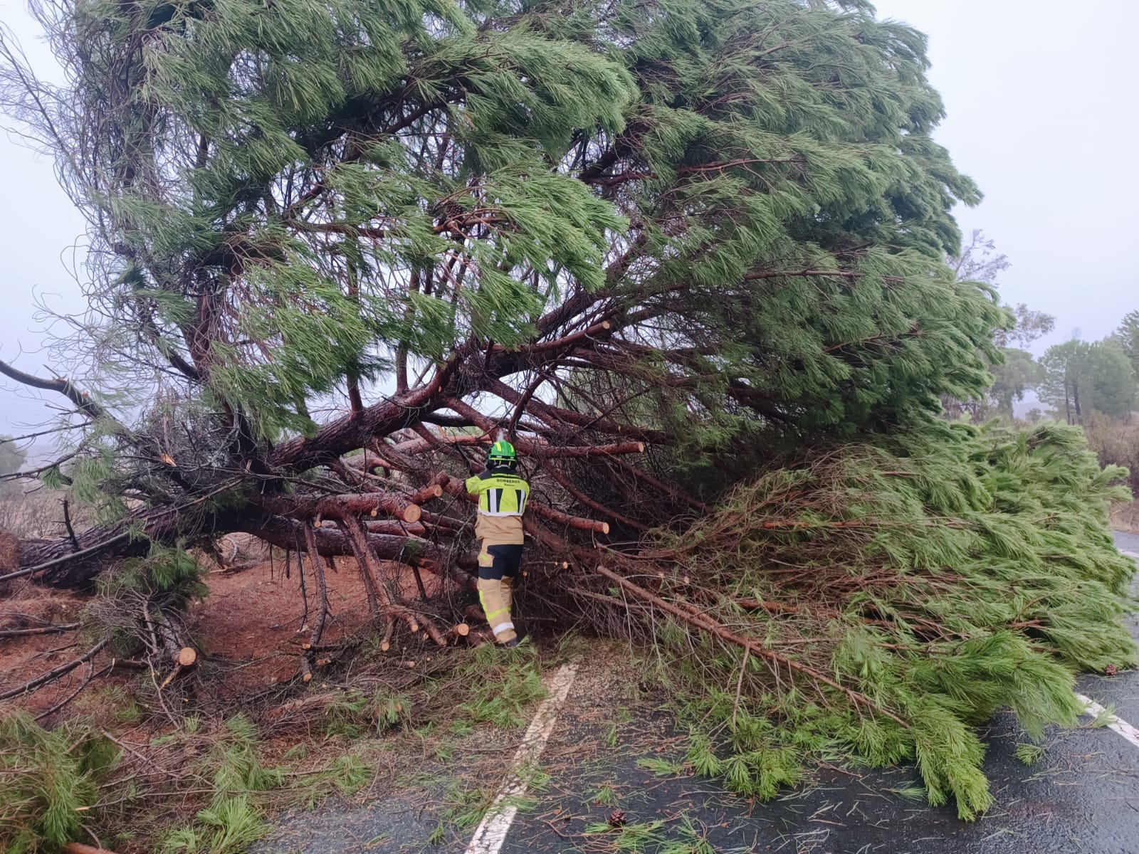 Una imagen de Bomberos en Huelva este domingo, donde ha fallecido una de las dos personas en Andalucía.