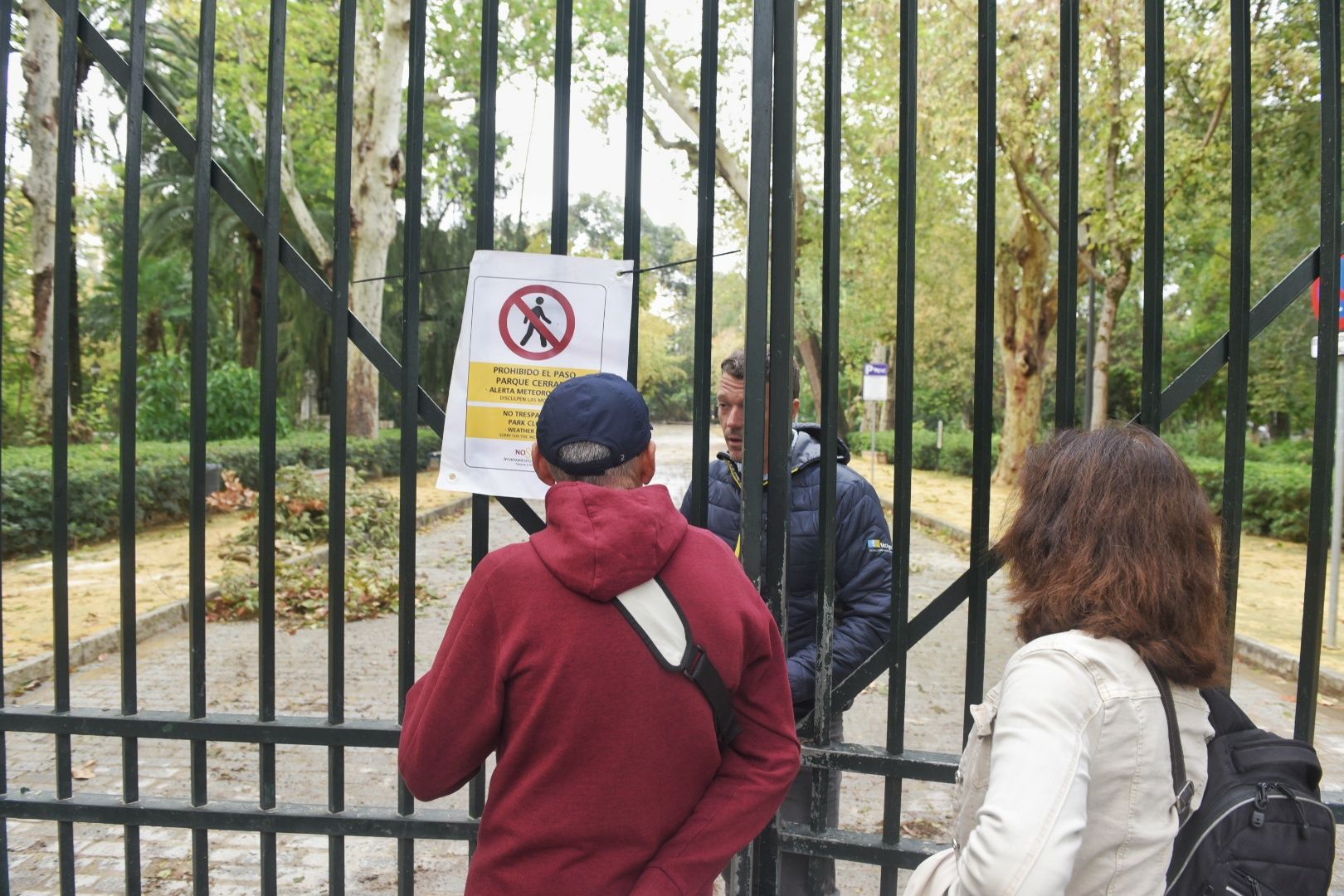 Así está el parque de María Luisa este lunes.