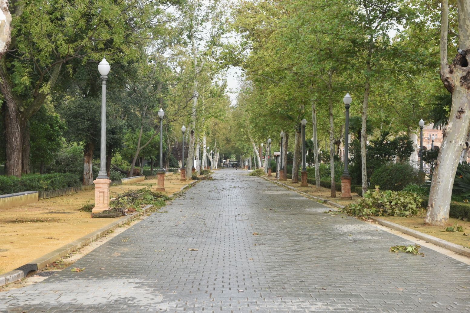 Así está el parque de María Luisa este lunes.