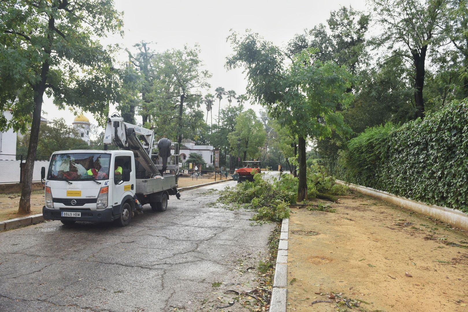 Así está el parque de María Luisa este lunes.
