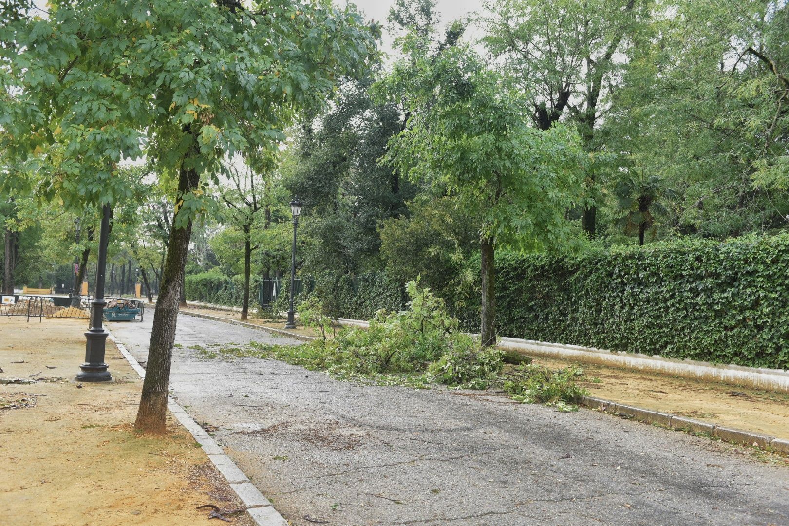 Así está el parque de María Luisa este lunes.