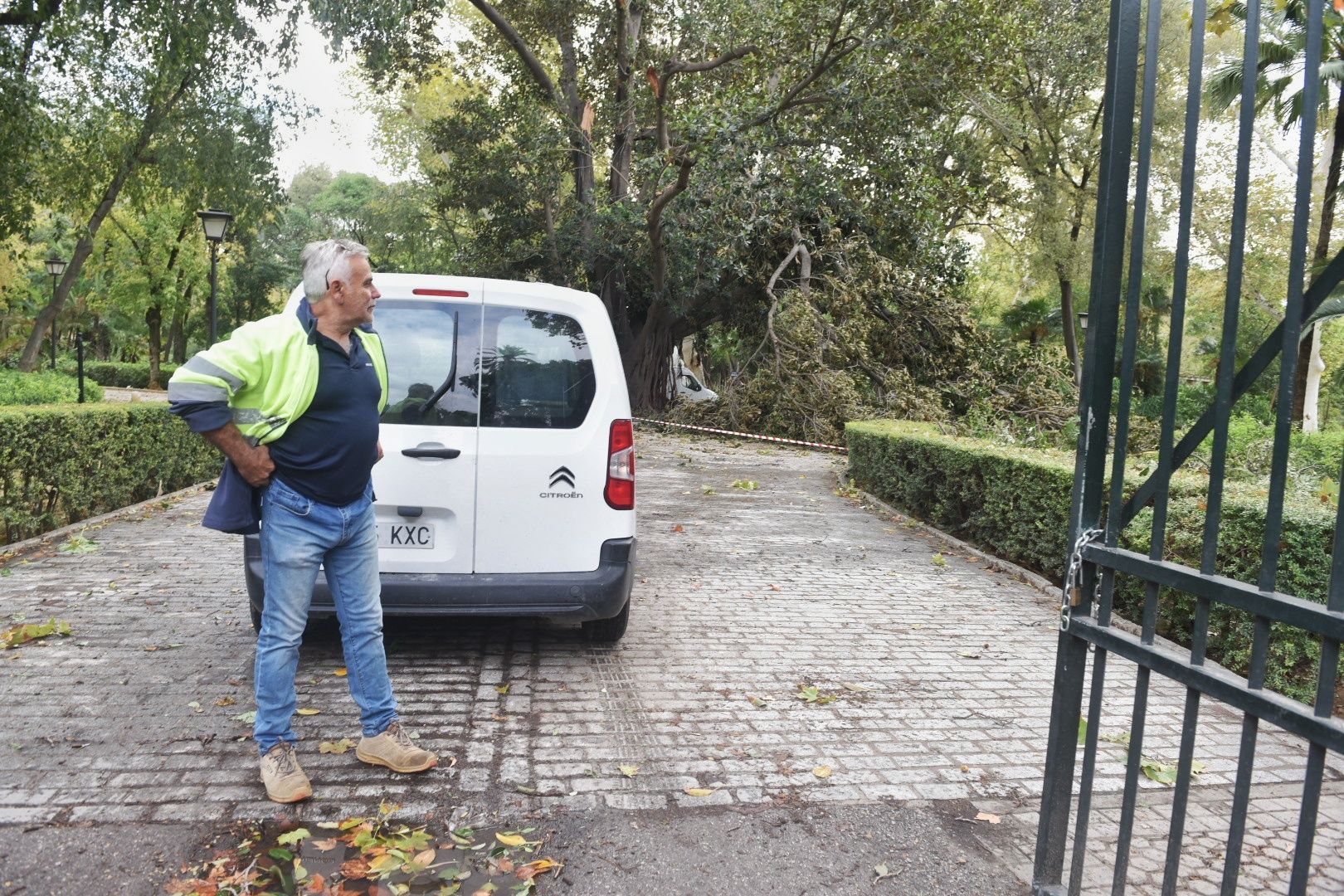Así está el parque de María Luisa este lunes.