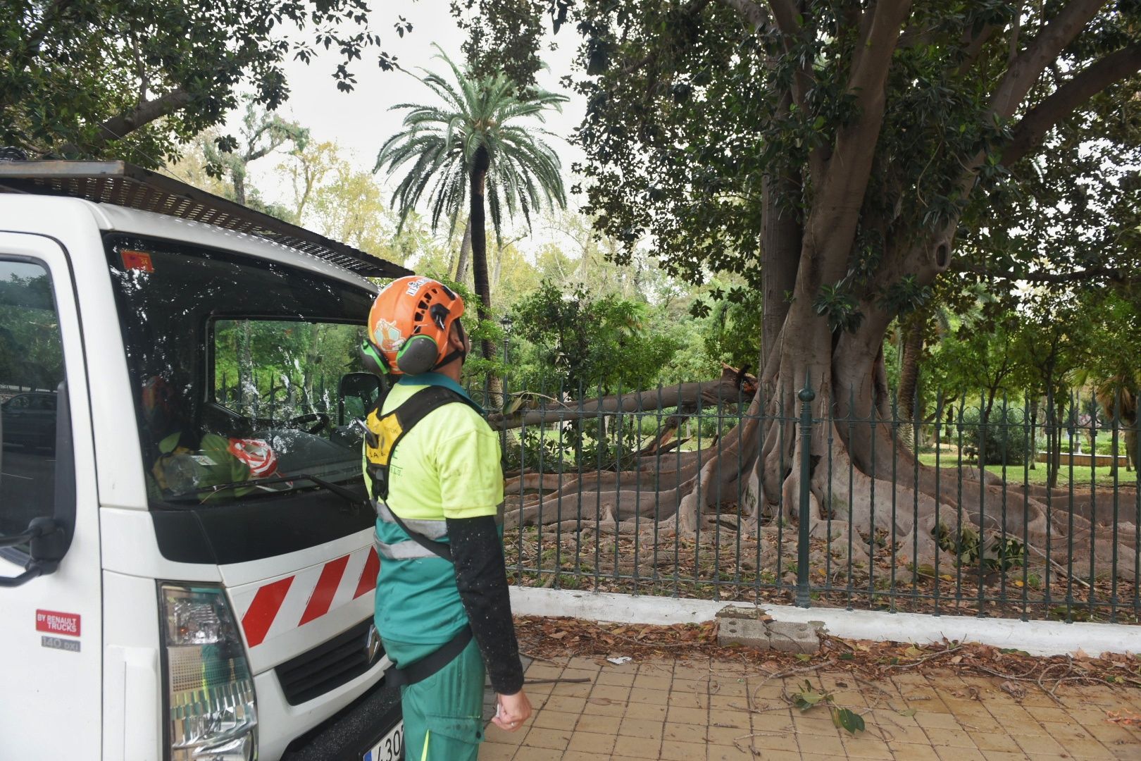 Así está el parque de María Luisa este lunes.